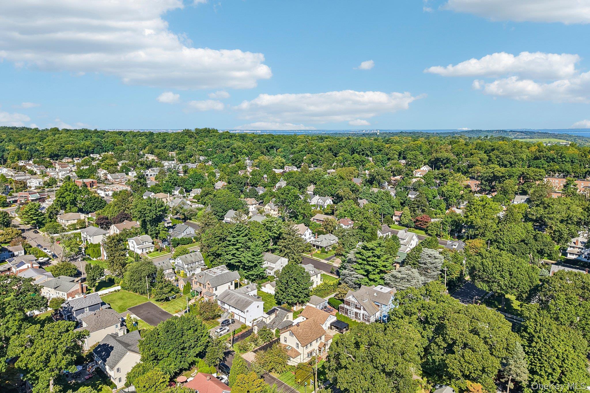 Single Family Jefferson Avenue  Nassau County, NY 11577, MLS-1050812-6