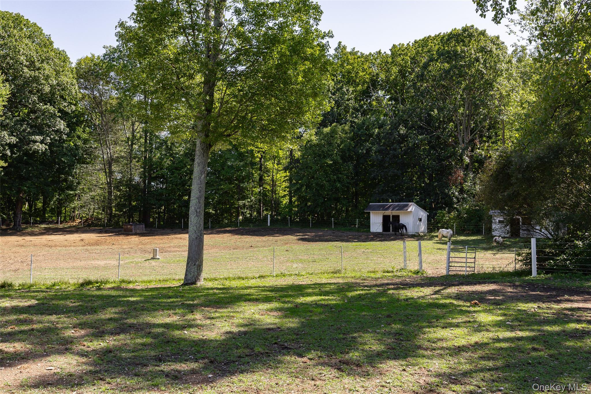 Single Family Gold Road  Dutchess County, NY 12603, MLS-1050864-39