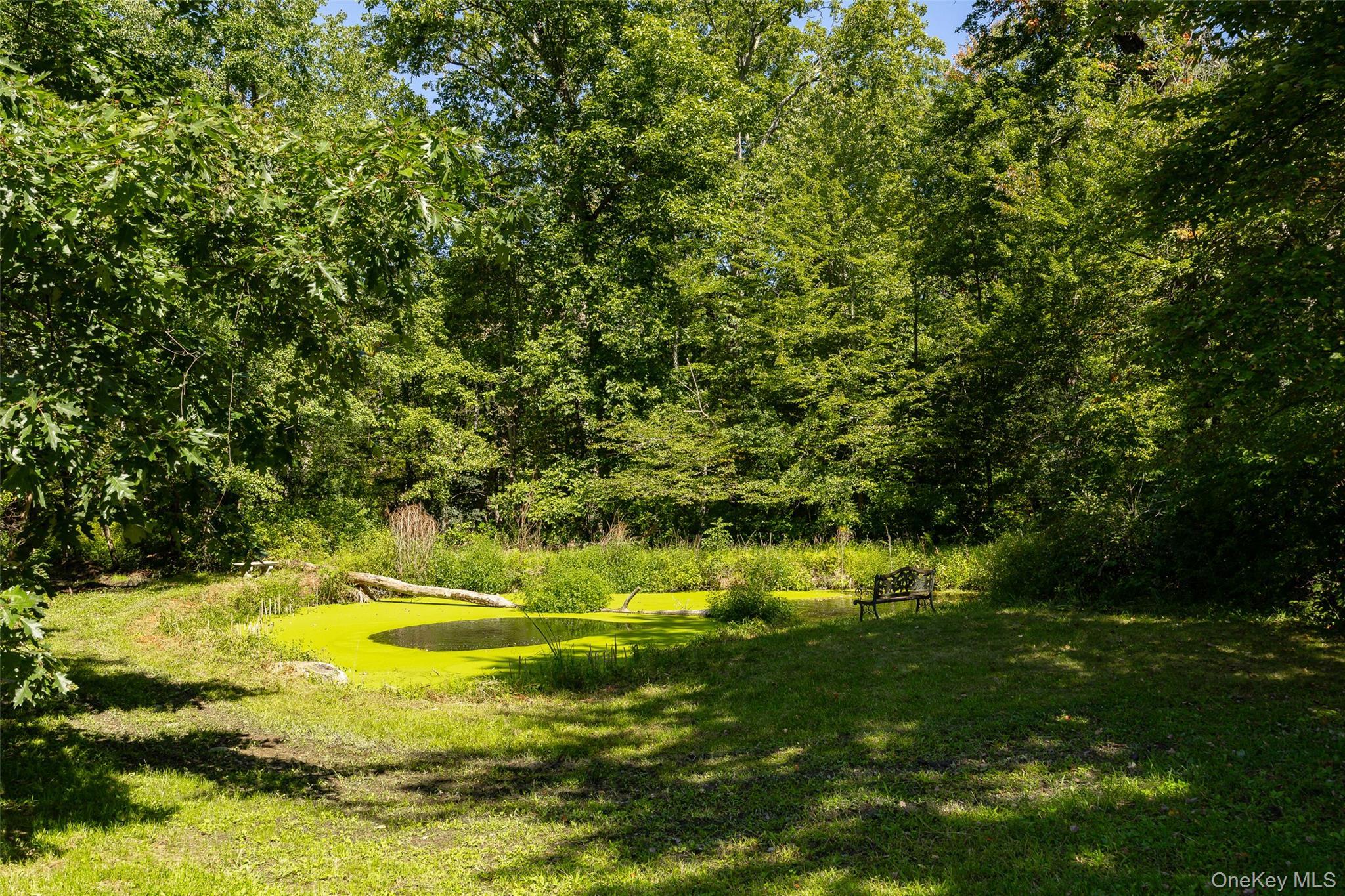 Single Family Gold Road  Dutchess County, NY 12603, MLS-1050864-42