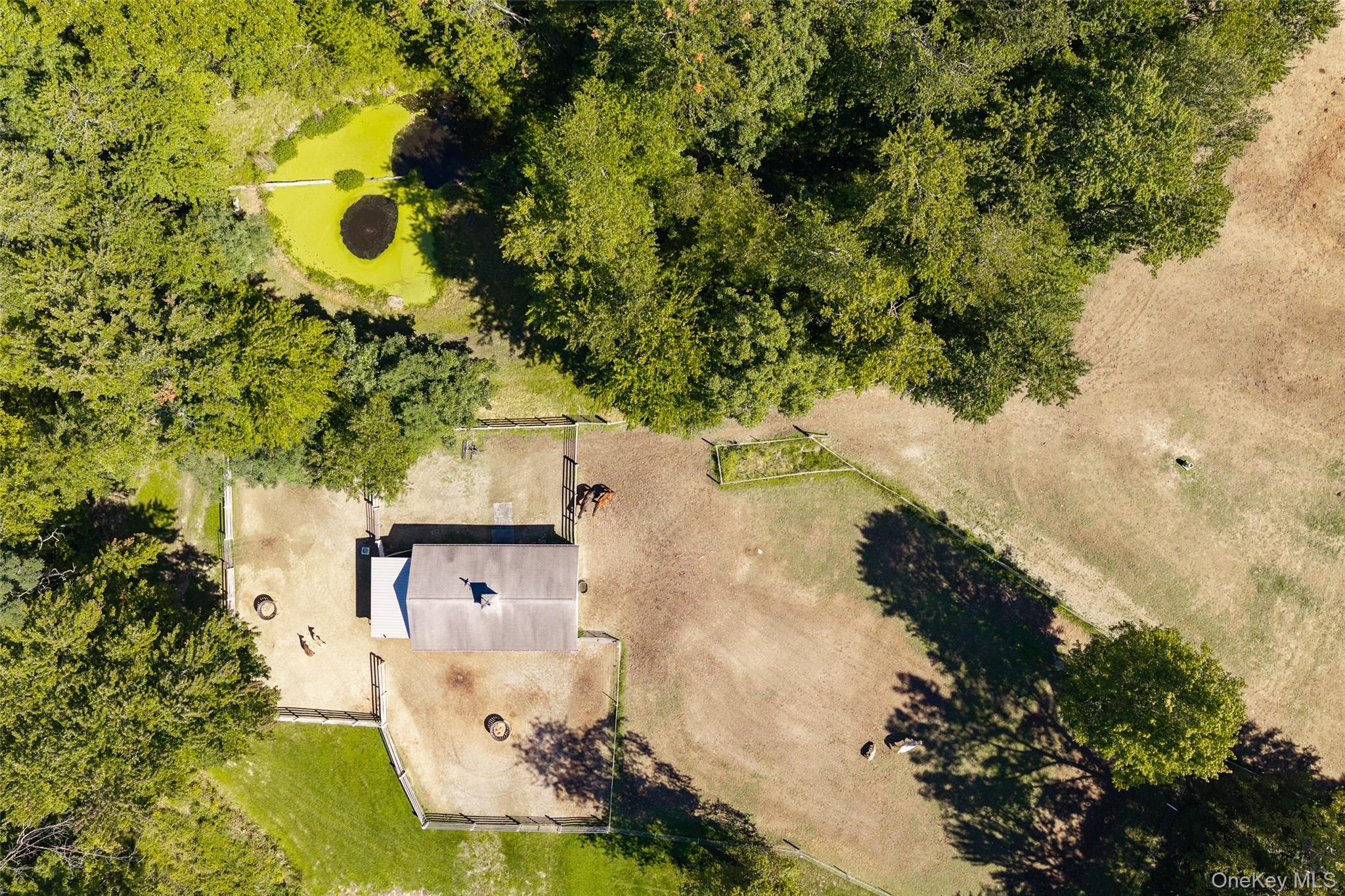 Single Family Gold Road  Dutchess County, NY 12603, MLS-1050864-45