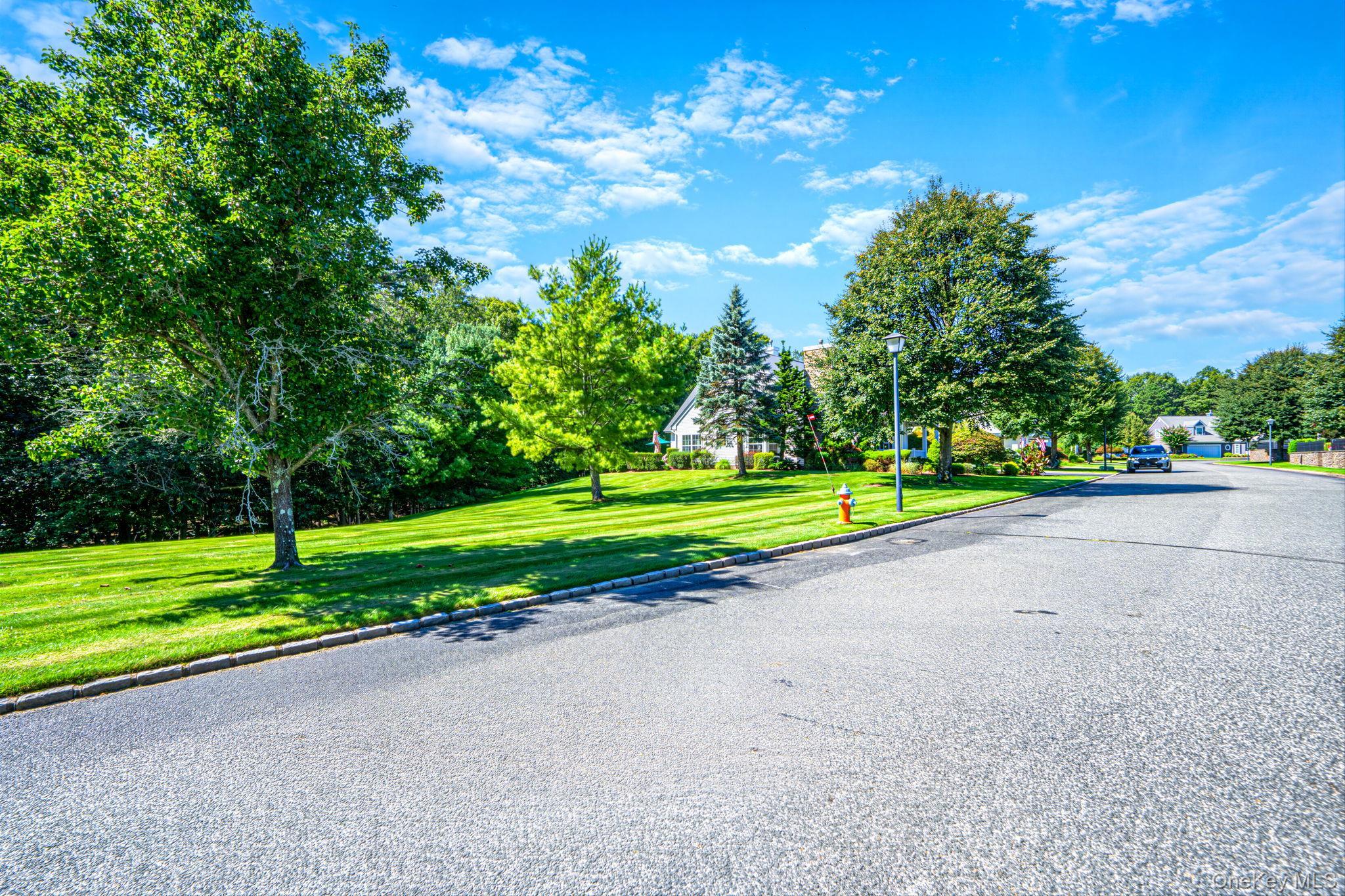 Single Family Golden Spruce Drive  Suffolk County, NY 11933, MLS-1050882-5