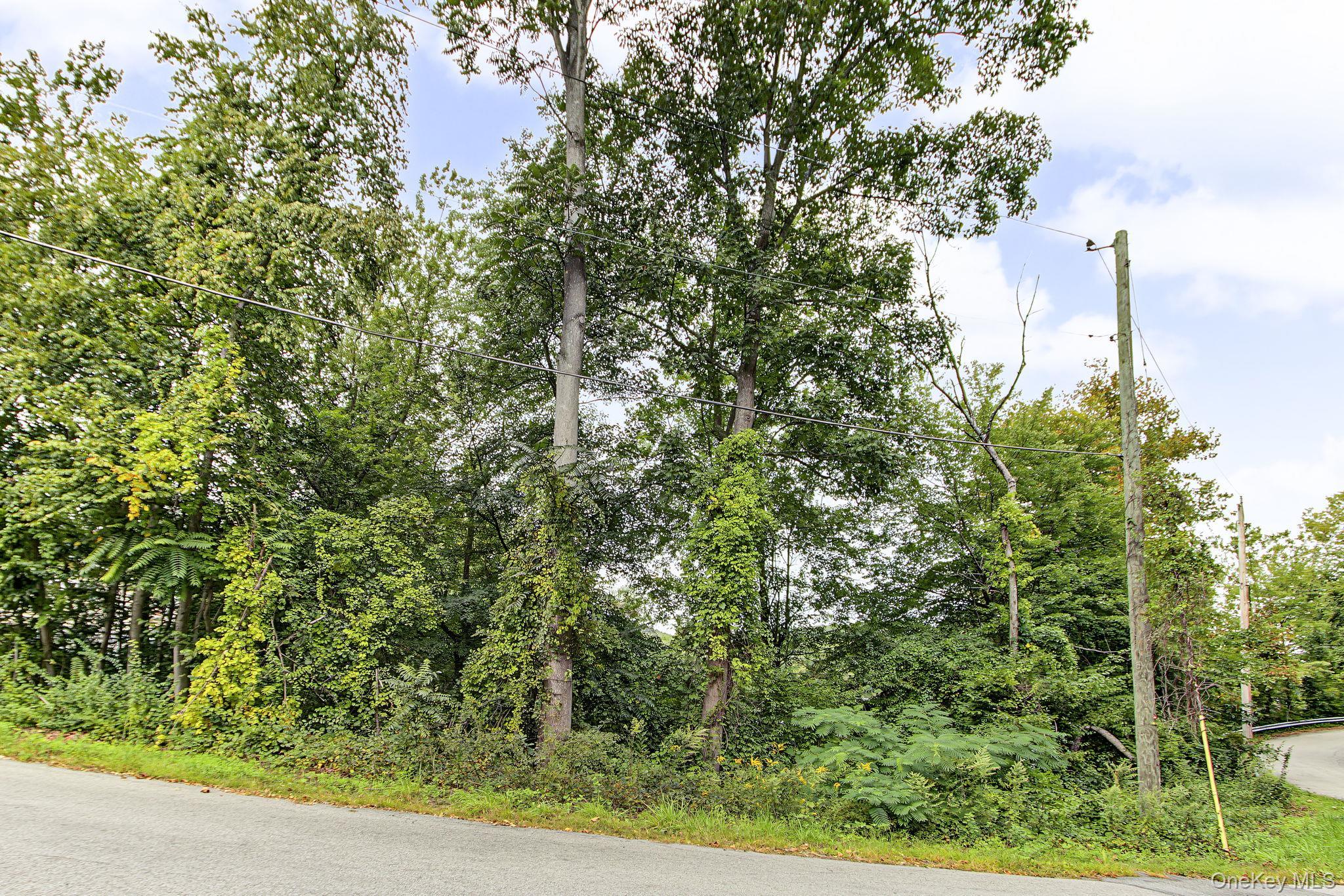 Single Family Jean Drive Westchester County, NY 10567, MLS-1050926-28