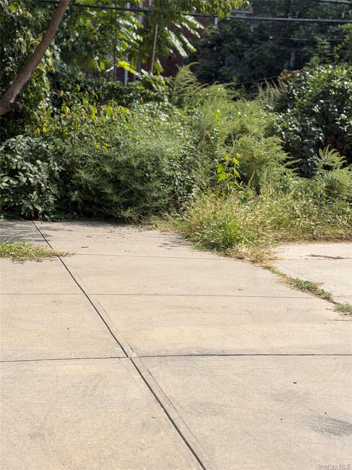 Single Family E 5th Street  Brooklyn, NY 11230, MLS-1050928-2