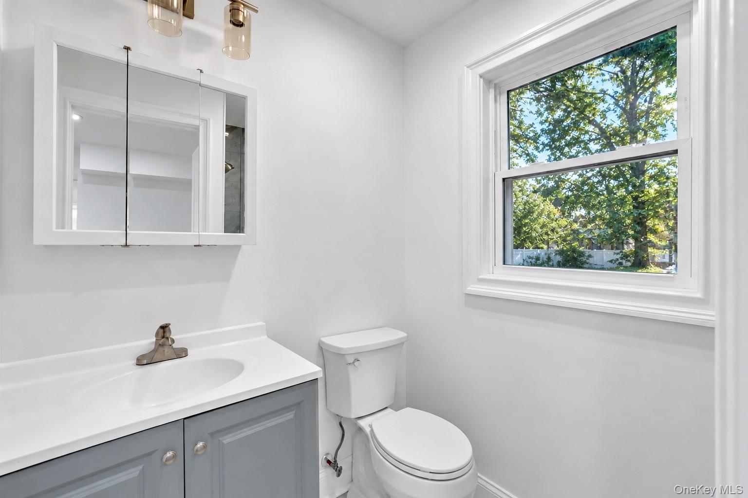 Single Family Cedarfield Terrace Suffolk County, NY 11780, MLS-1050942-25