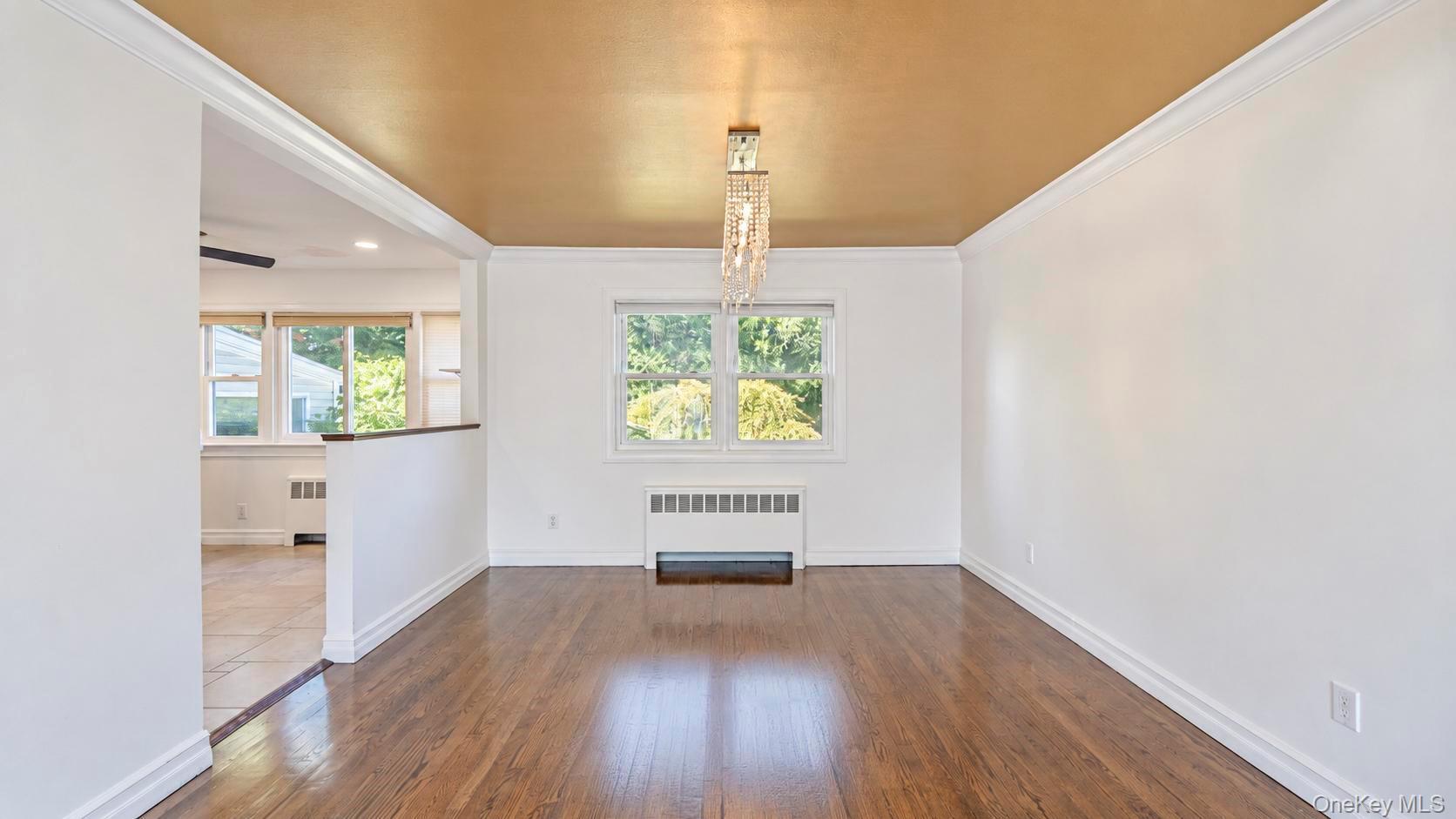 Single Family Howell Street  Nassau County, NY 11510, MLS-1050943-12