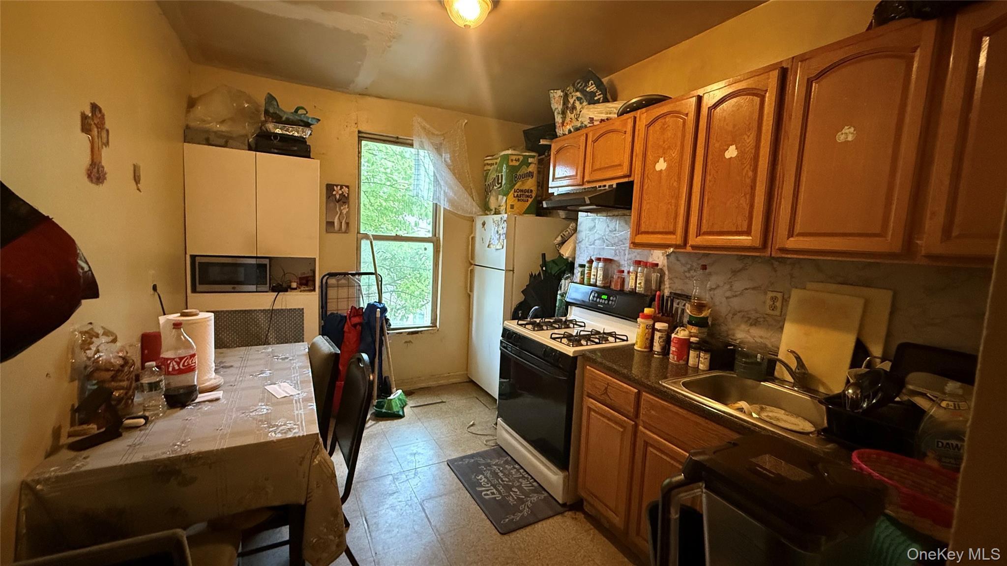 Single Family Rev James Polite A Avenue Bronx, NY 10459, MLS-1050988-2