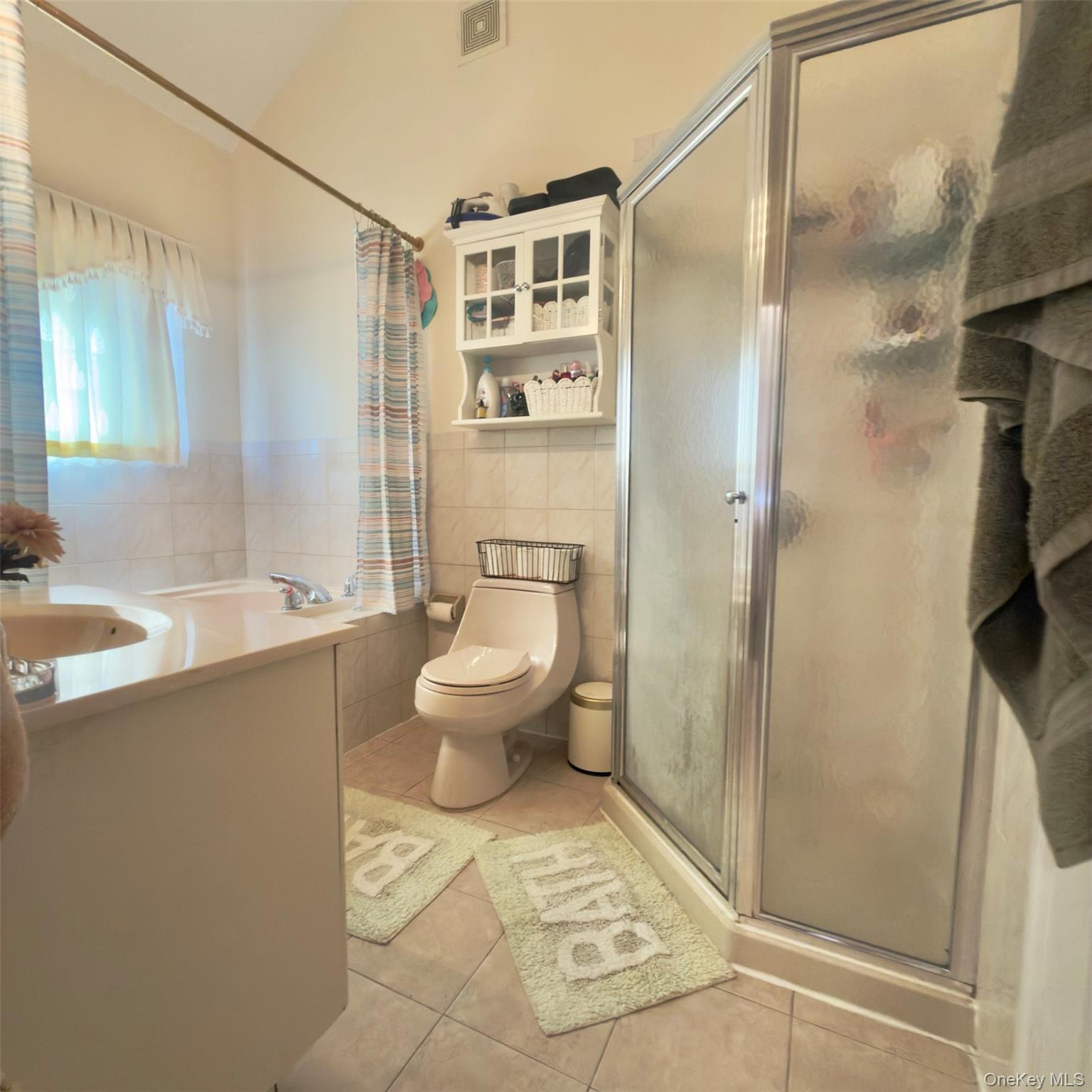 Single Family 53rd Drive Queens, NY 11378, MLS-1051066-8