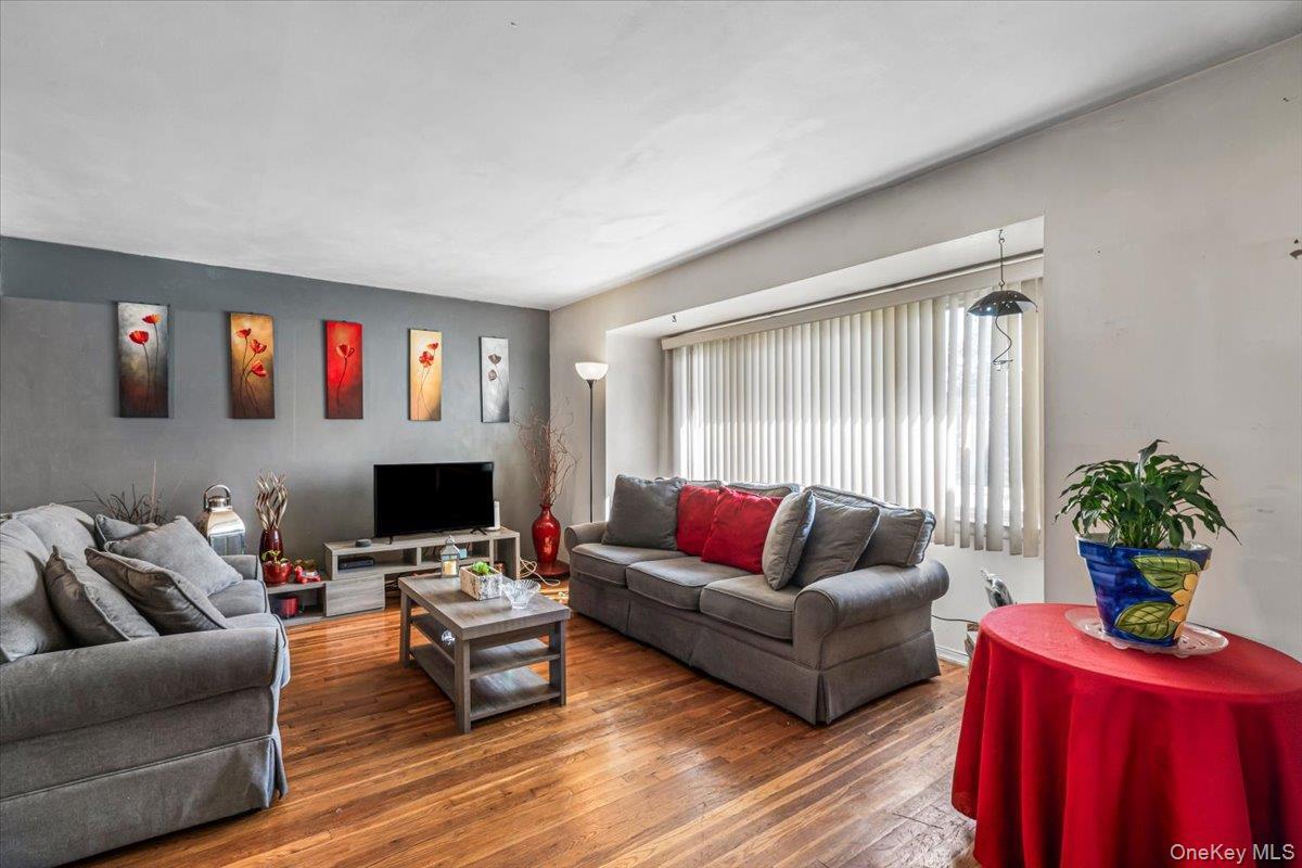 Single Family Braddock Avenue  Queens, NY 11427, MLS-1051088-11