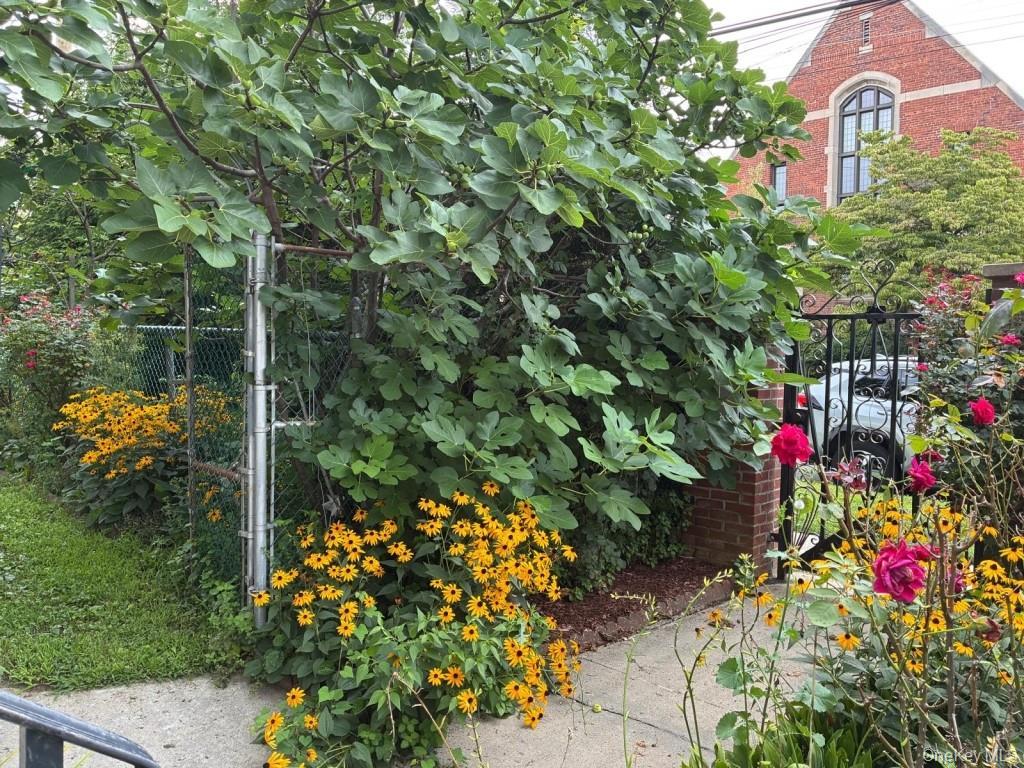 Single Family 40th Avenue Queens, NY 11361, MLS-1051119-36