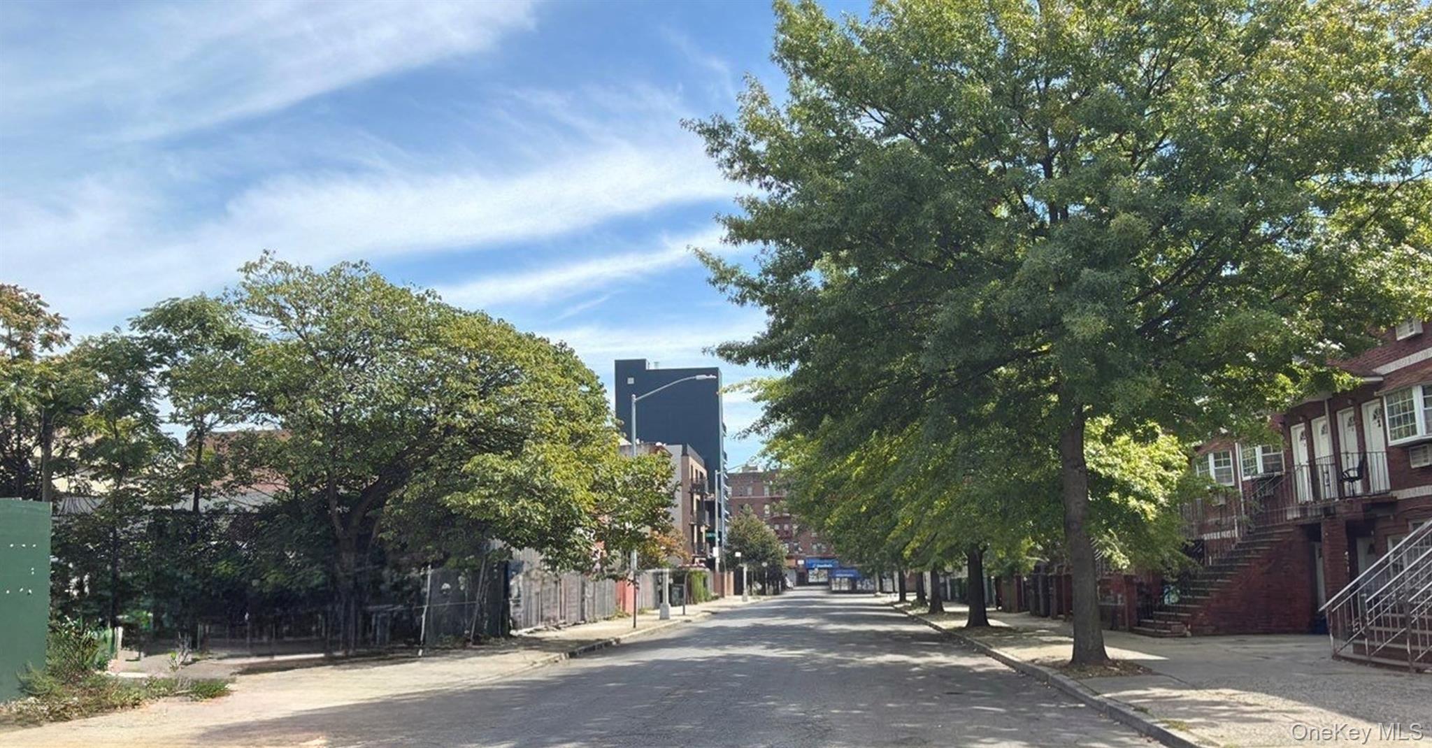 Single Family Albemarle Road Brooklyn, NY 11226, MLS-1051143-5