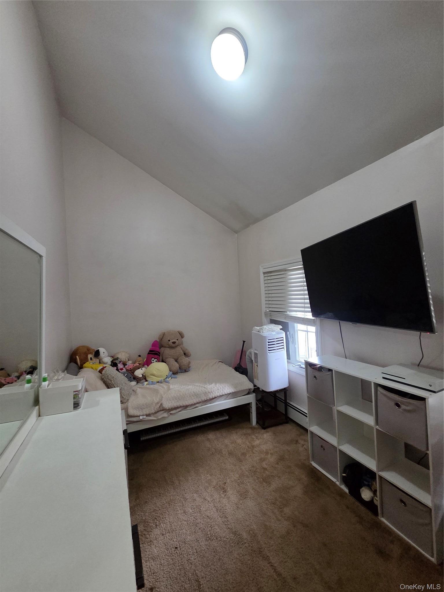 Single Family 157th Avenue Queens, NY 11414, MLS-1051144-12