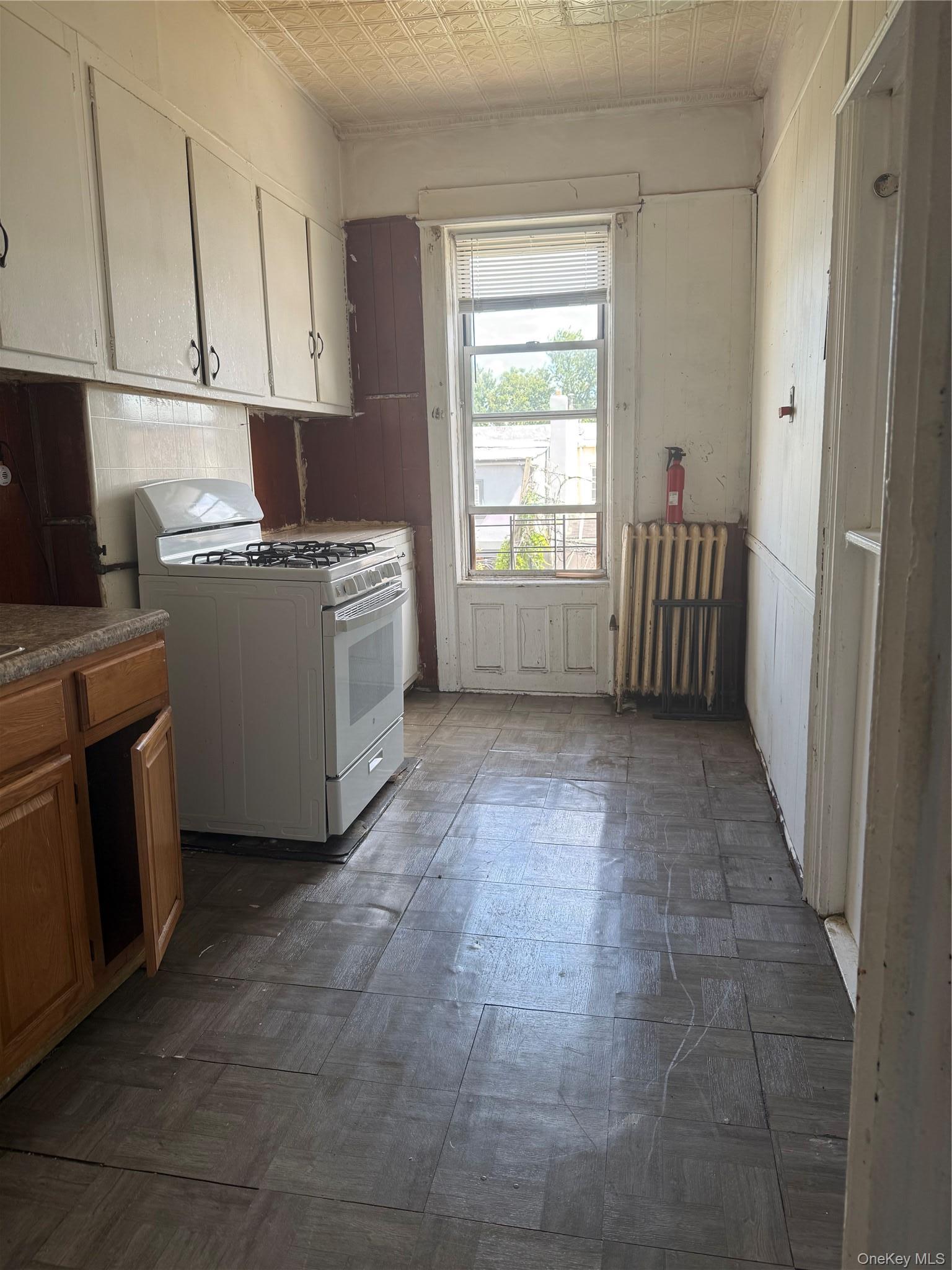 Single Family Grant Avenue Brooklyn, NY 11208, MLS-1051179-5
