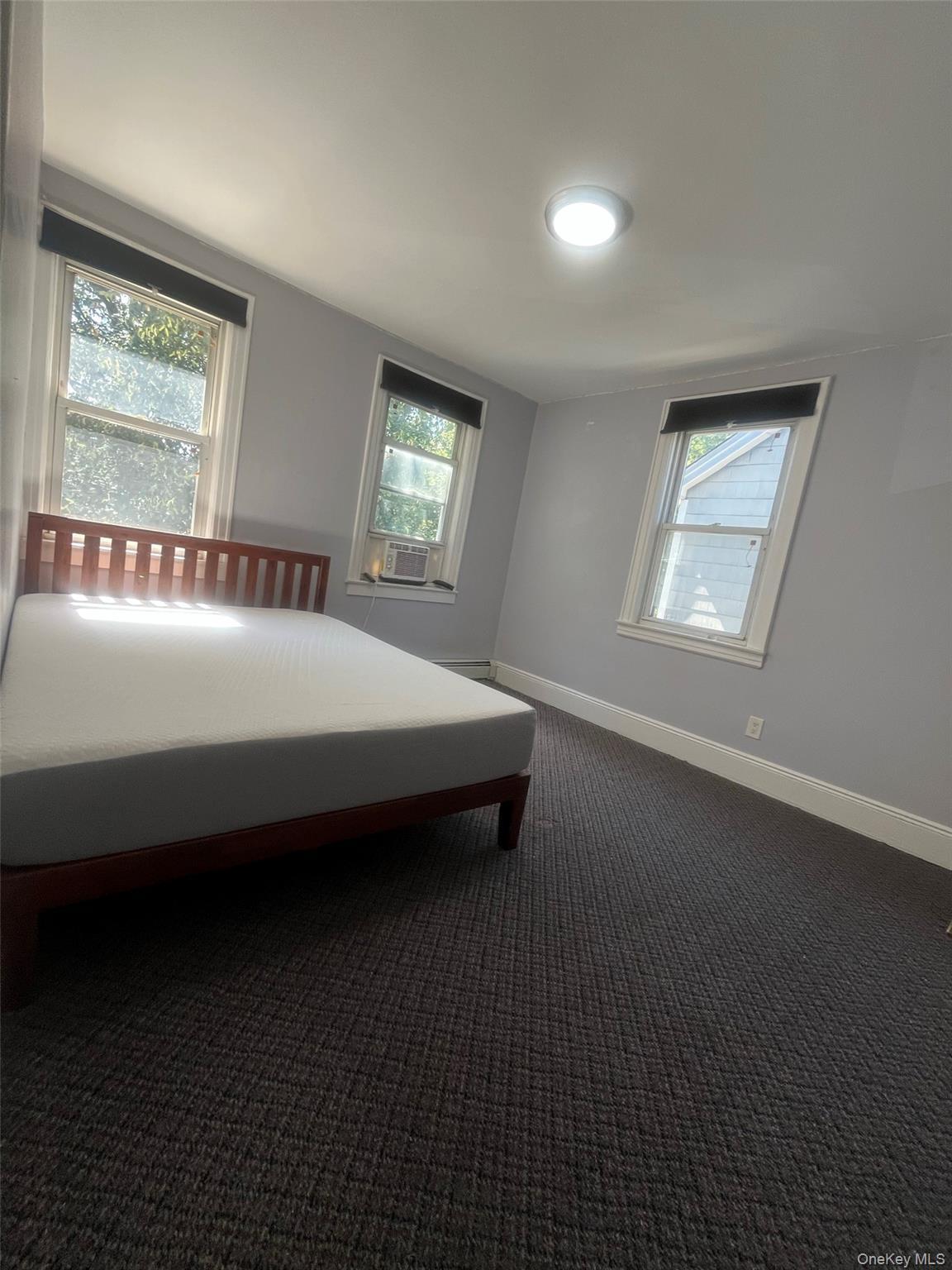 Single Family 77th Avenue Queens, NY 11366, MLS-1051213-8