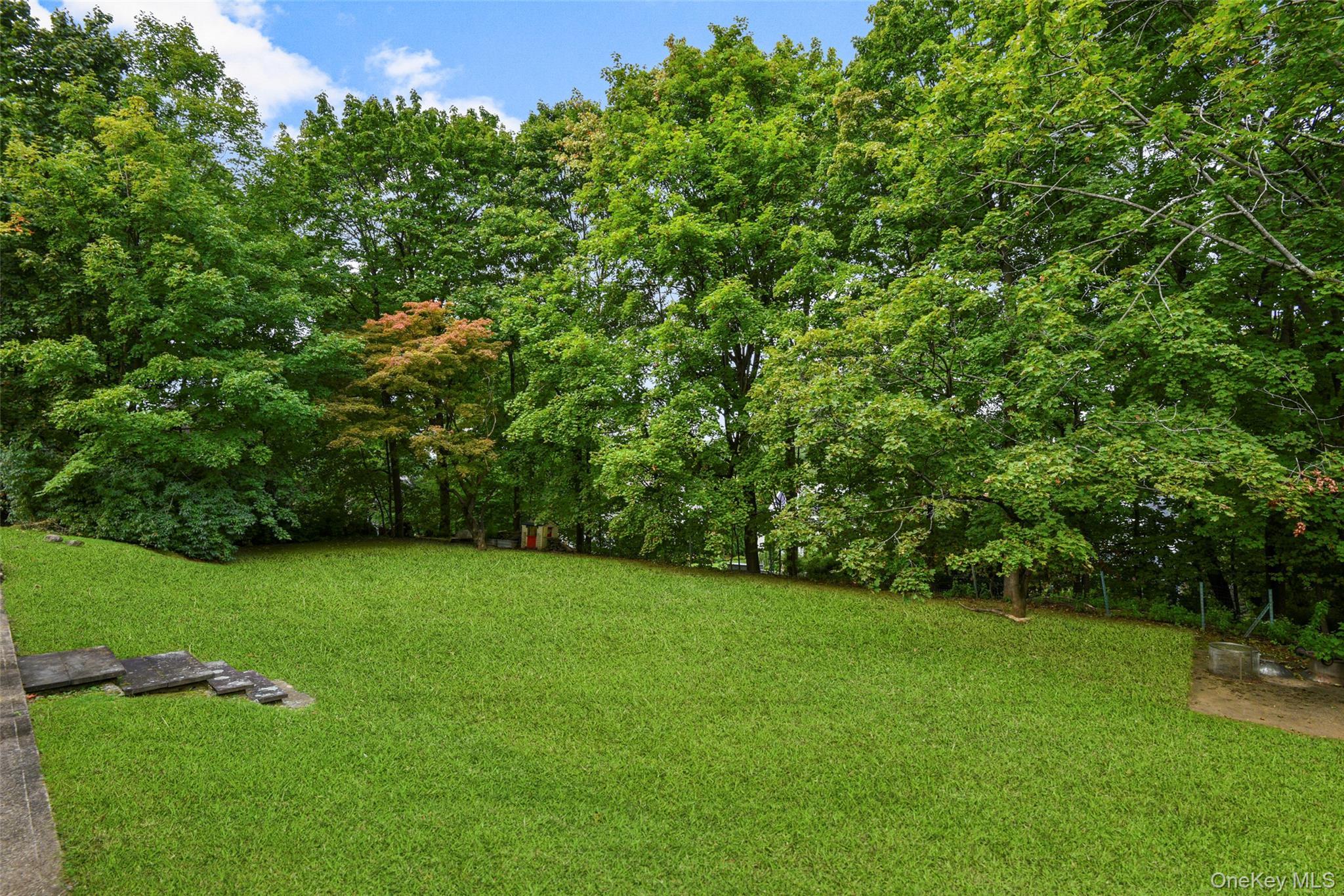 Single Family Ridgeview Avenue  Westchester County, NY 10606, MLS-1051224-36