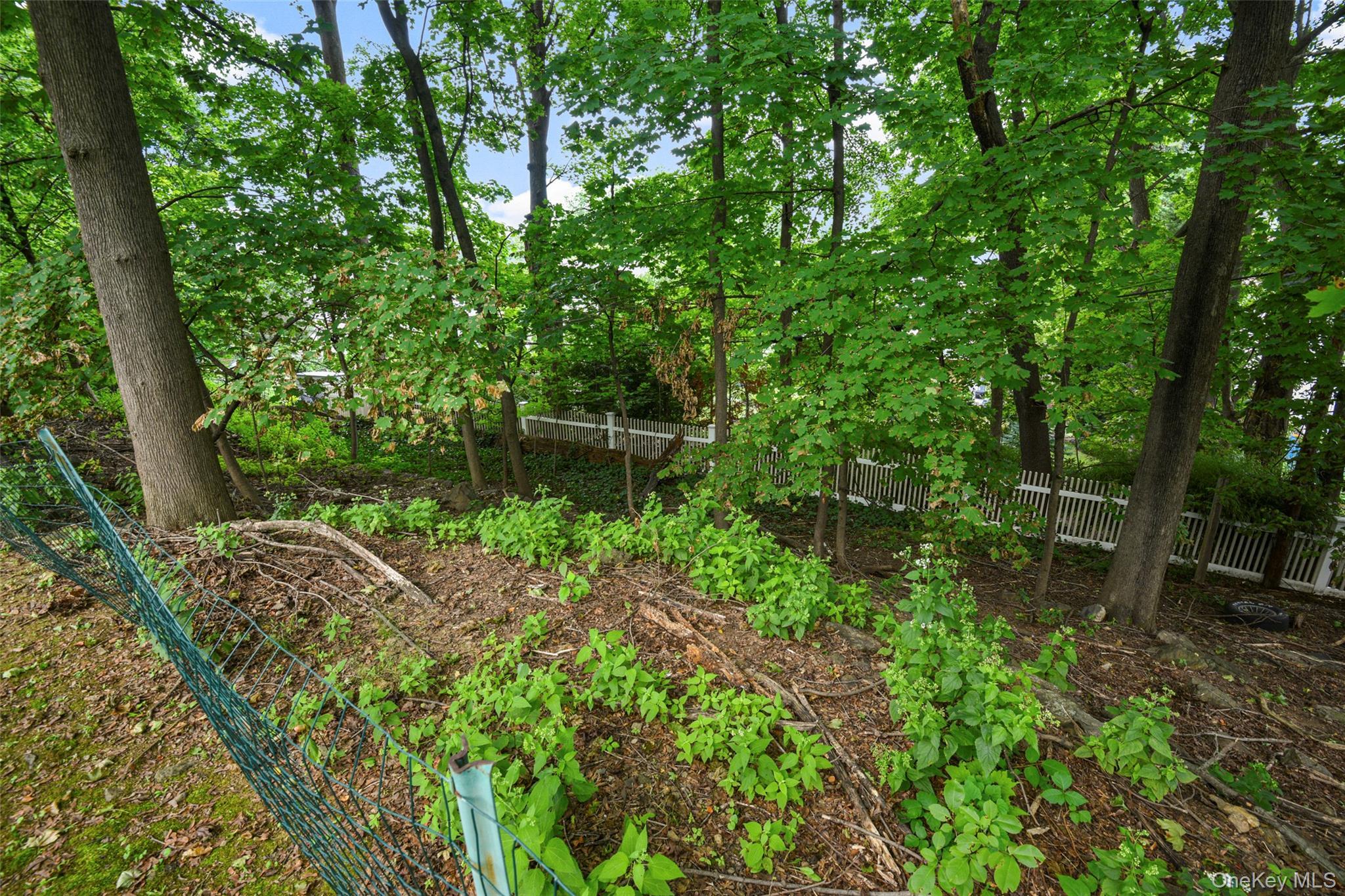 Single Family Ridgeview Avenue  Westchester County, NY 10606, MLS-1051224-37
