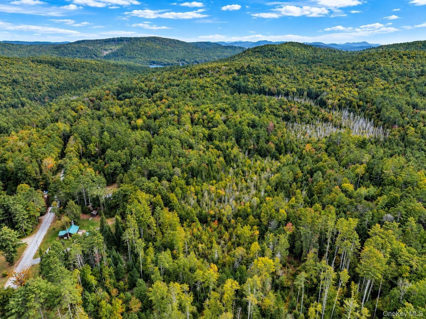 Single Family Shaw Hill Road Warren County, NY 12808, MLS-1051330-28