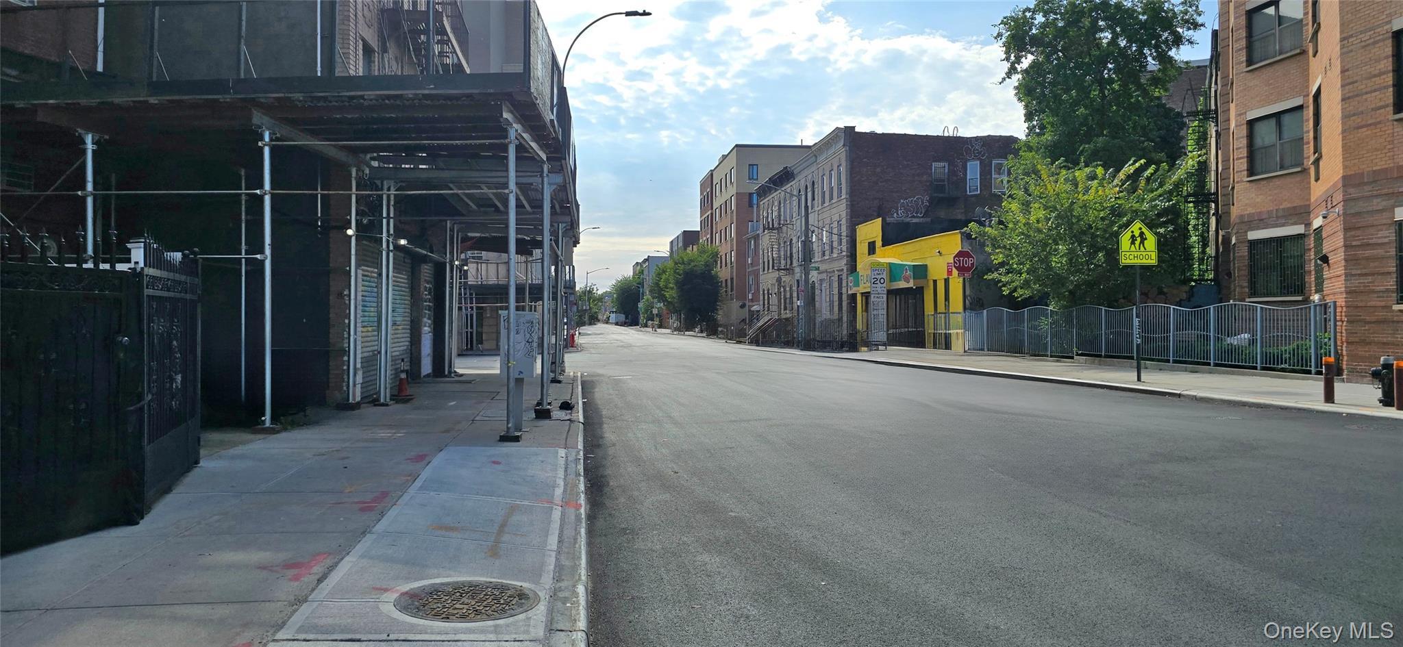 Single Family E New York Avenue  Brooklyn, NY 11212, MLS-1051354-11