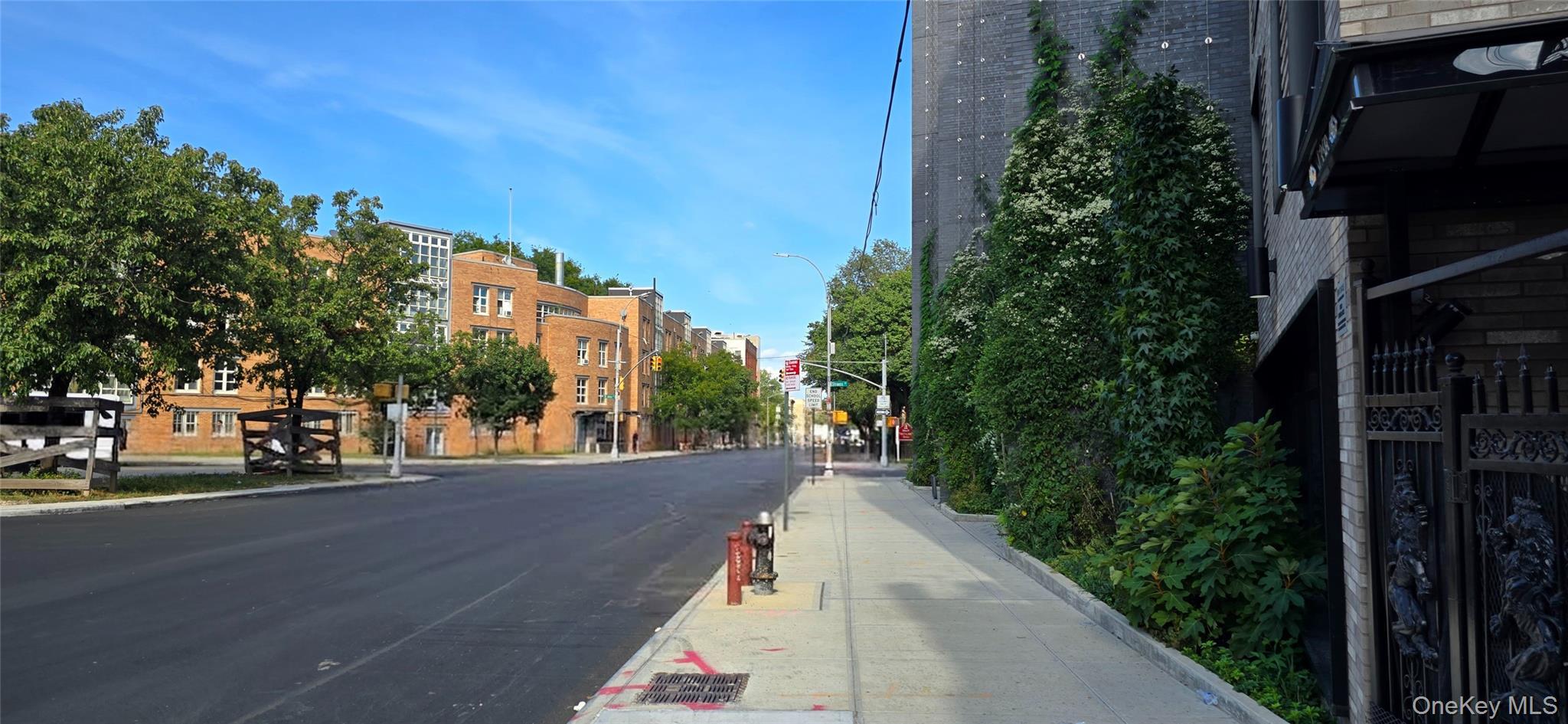 Single Family E New York Avenue  Brooklyn, NY 11212, MLS-1051354-14