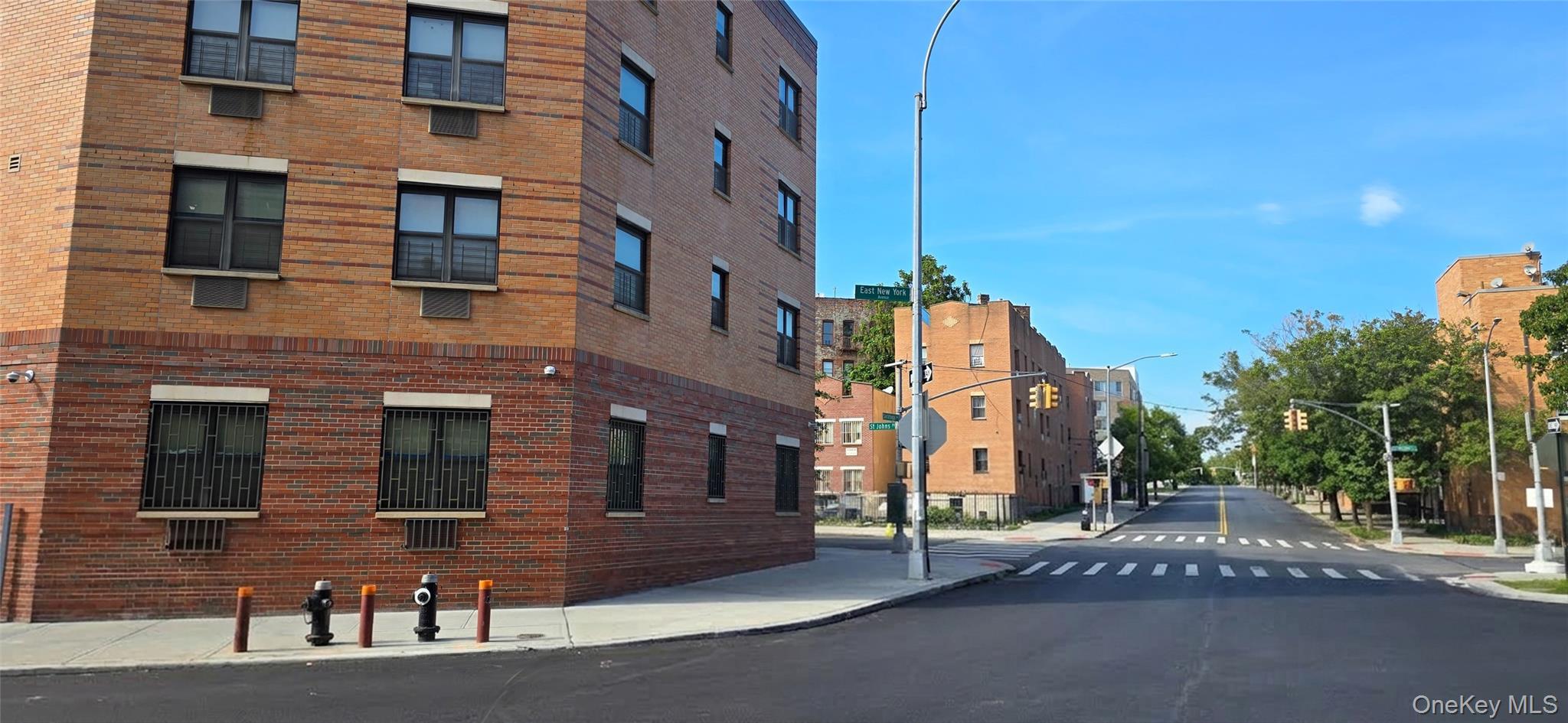Single Family E New York Avenue  Brooklyn, NY 11212, MLS-1051354-8