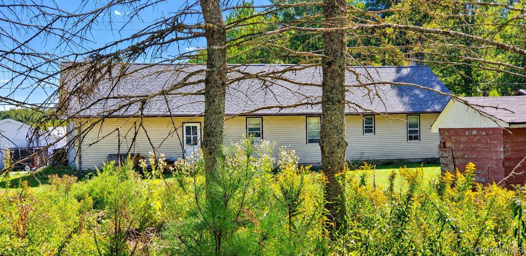 Single Family Bushville Swan Lake Road Sullivan County, NY 12734, MLS-1051369-20