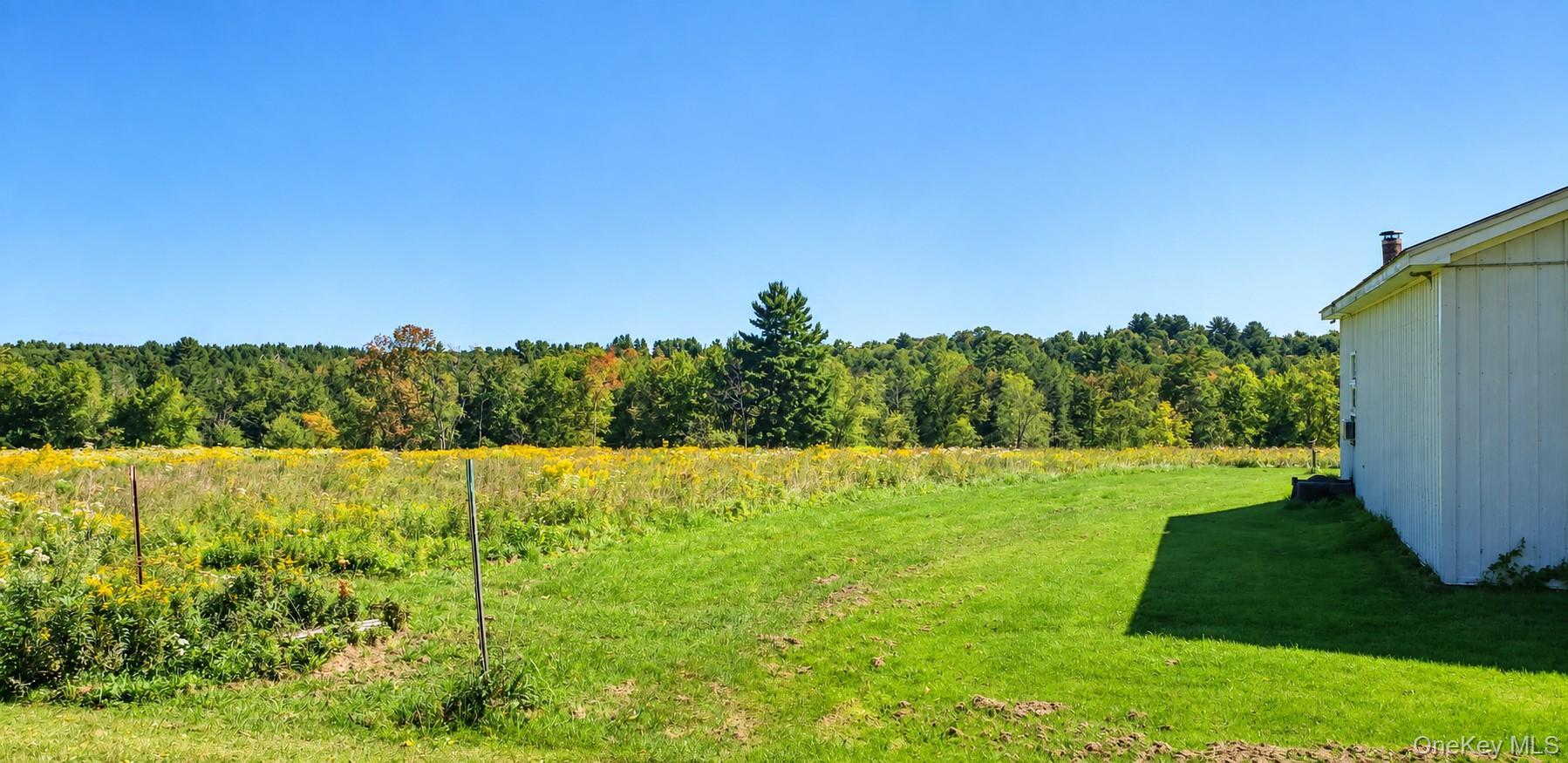 Single Family Bushville Swan Lake Road Sullivan County, NY 12734, MLS-1051369-26