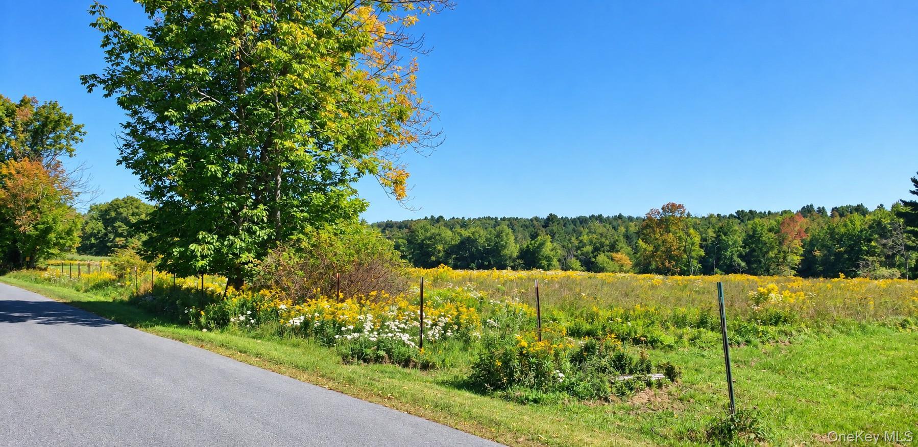 Single Family Bushville Swan Lake Road  Sullivan County, NY 12734, MLS-1051369-27