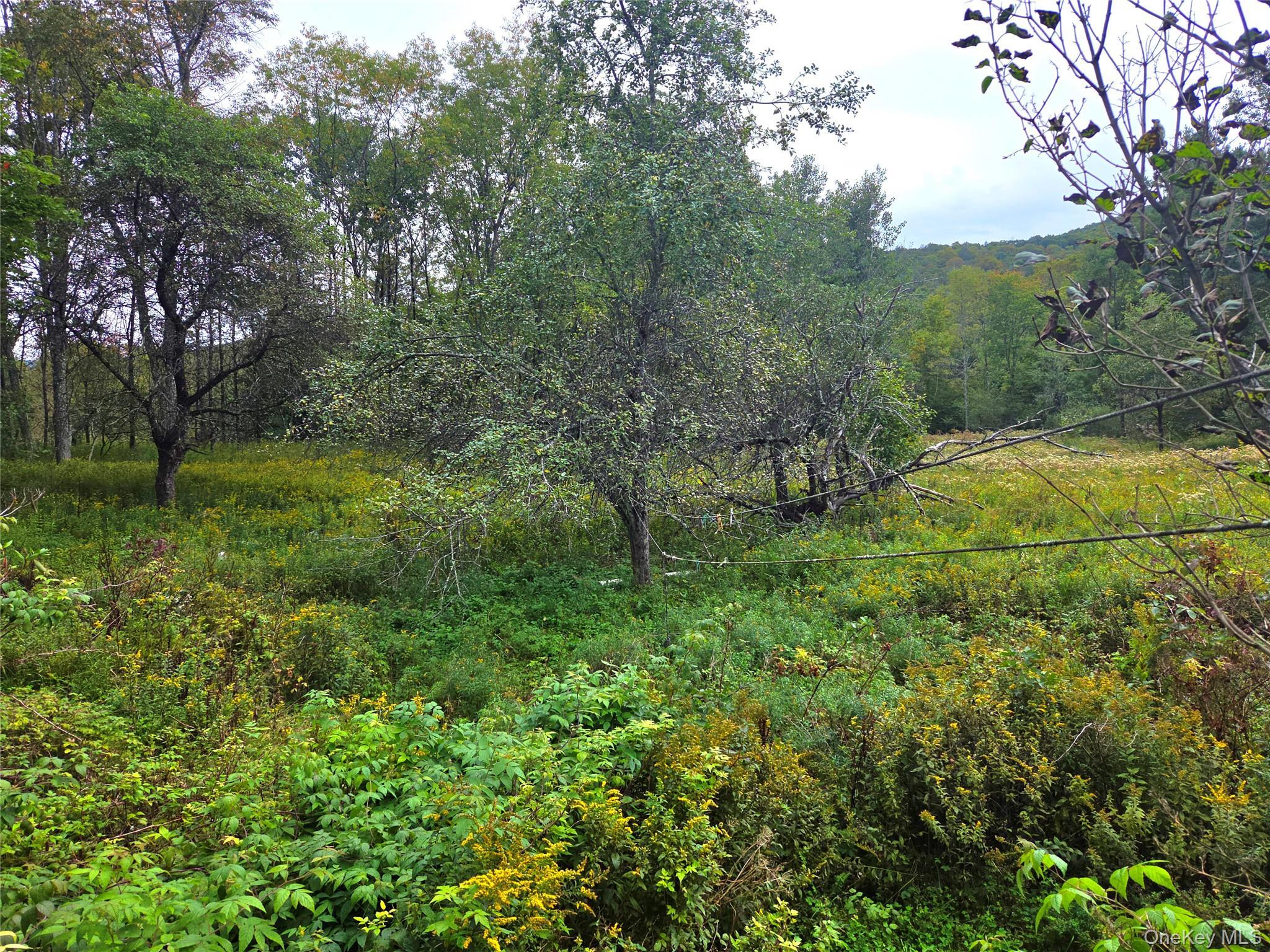 Single Family Church Road  Sullivan County, NY 12758, MLS-1051425-21