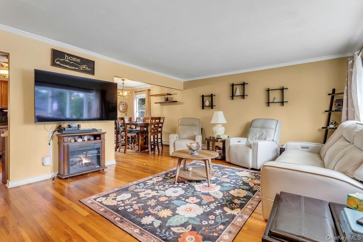 Single Family N Summit Drive  Nassau County, NY 11758, MLS-1051448-4