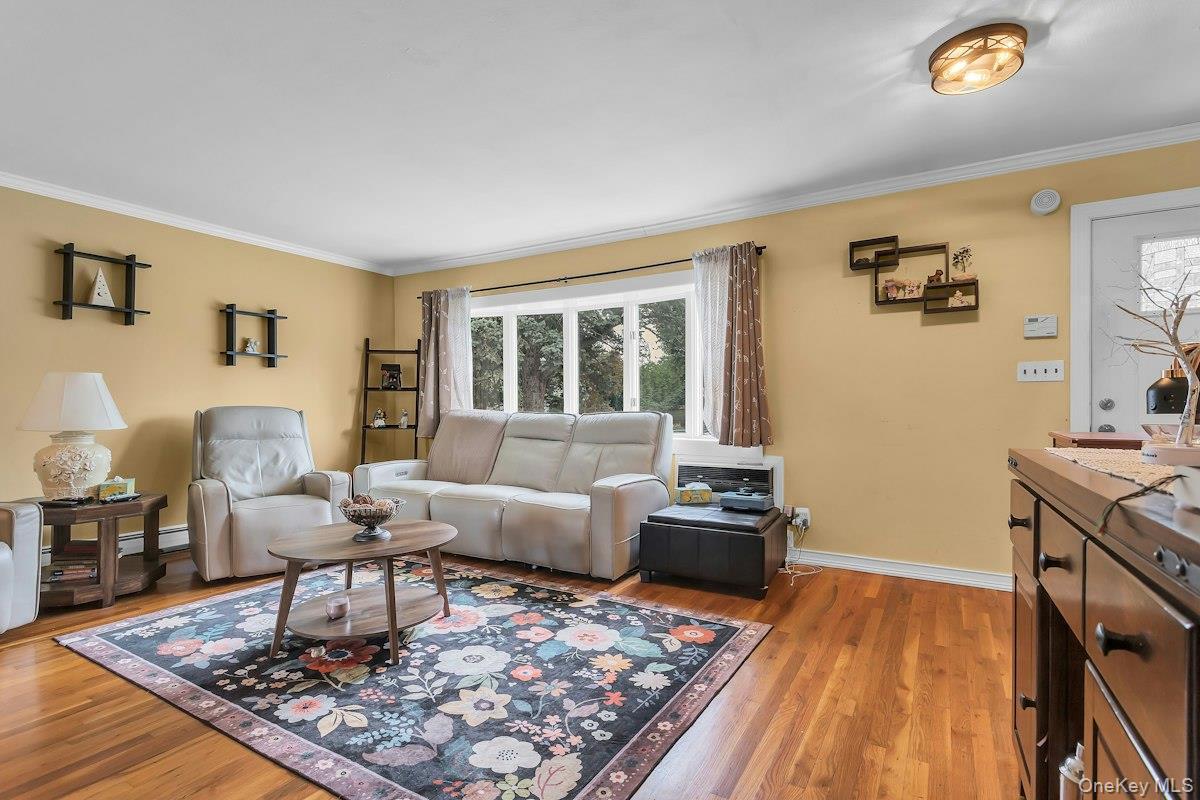 Single Family N Summit Drive  Nassau County, NY 11758, MLS-1051448-5
