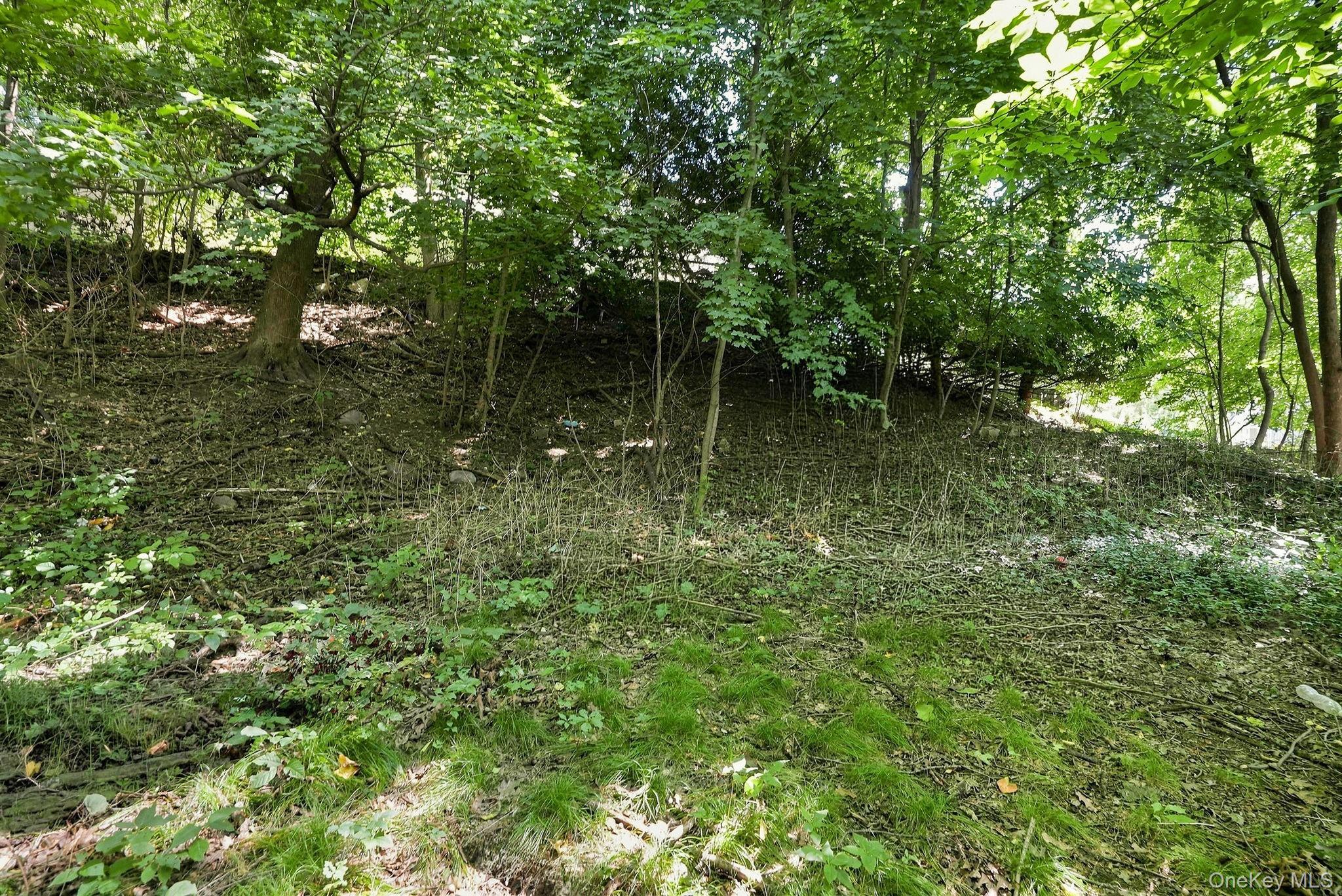 Single Family Pembrook Drive  Westchester County, NY 10710, MLS-1051460-15