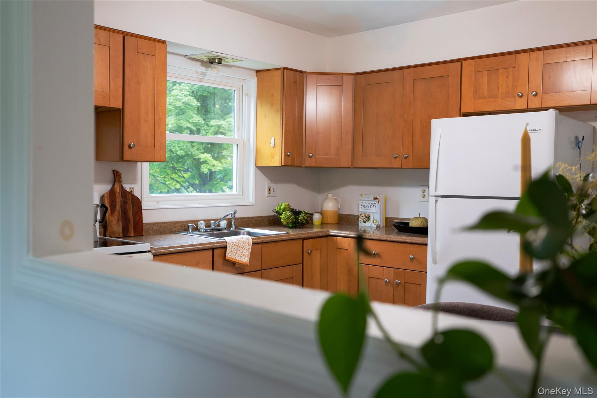 Single Family Peoples Road Ulster County, NY 12477, MLS-1051504-6