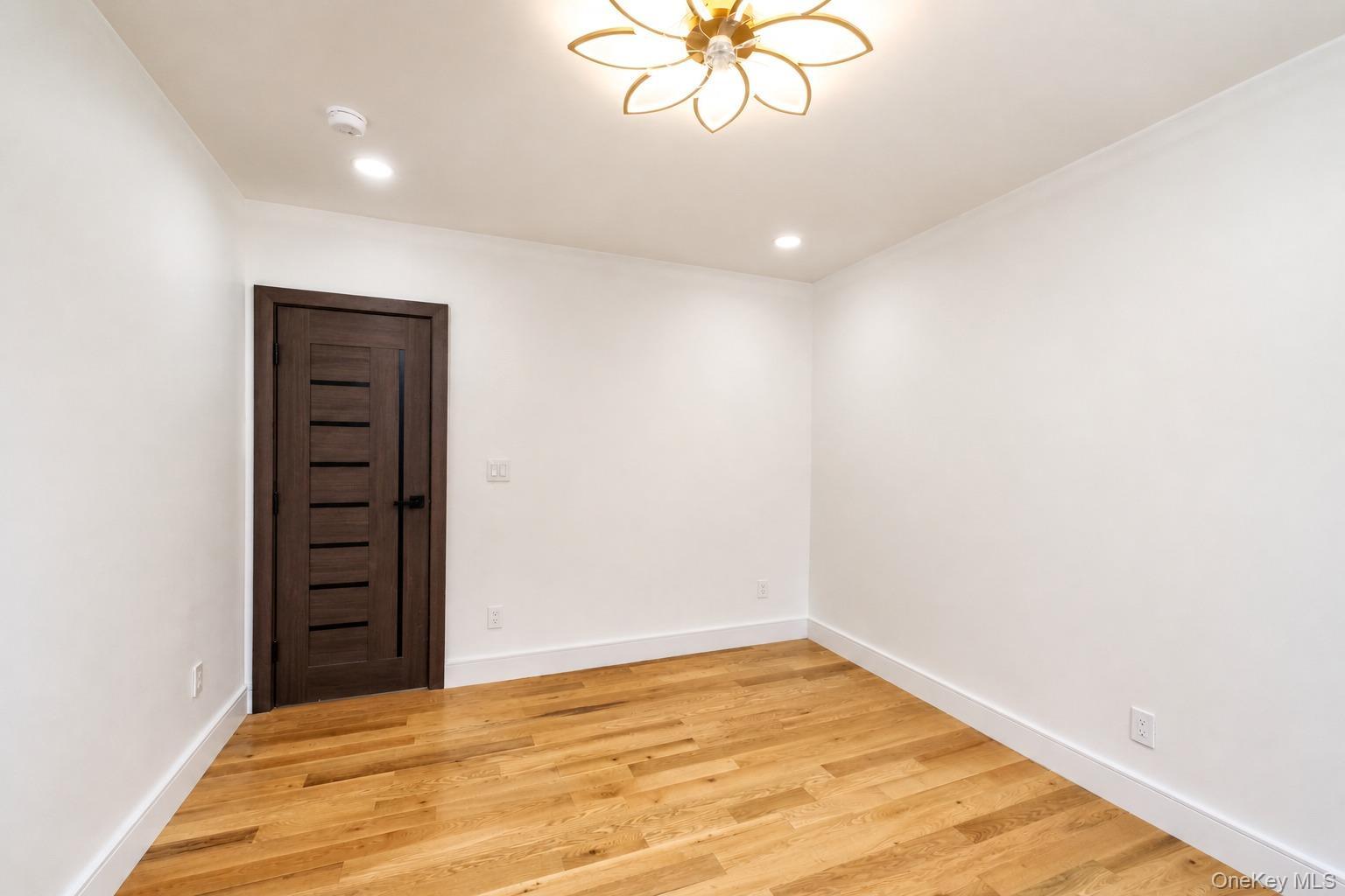 Single Family Albany Avenue Brooklyn, NY 11203, MLS-1051548-17