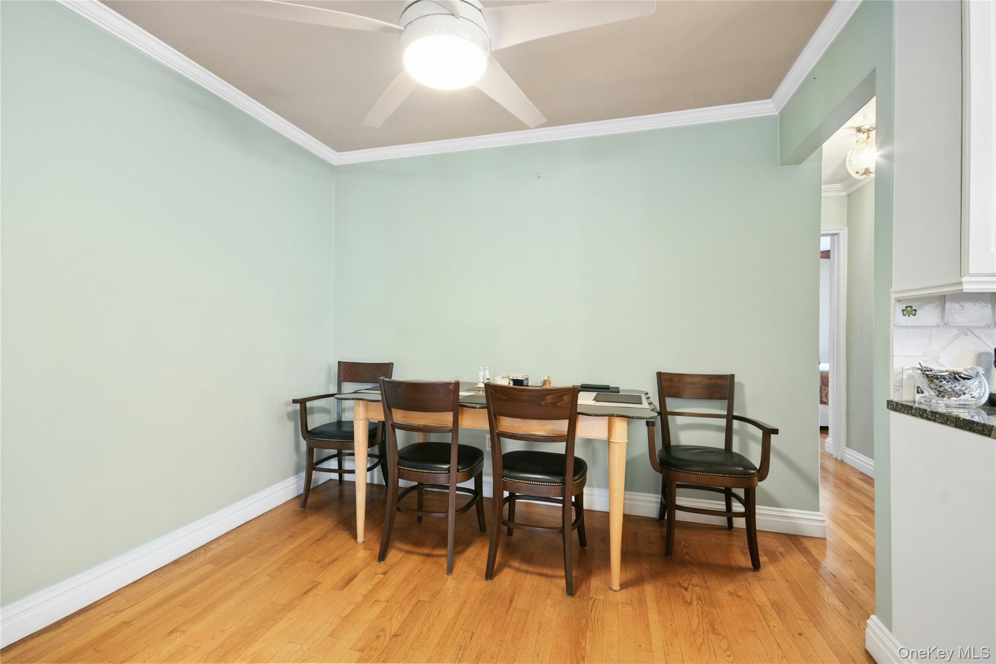 Single Family E 235th Street Bronx, NY 10470, MLS-1051576-12
