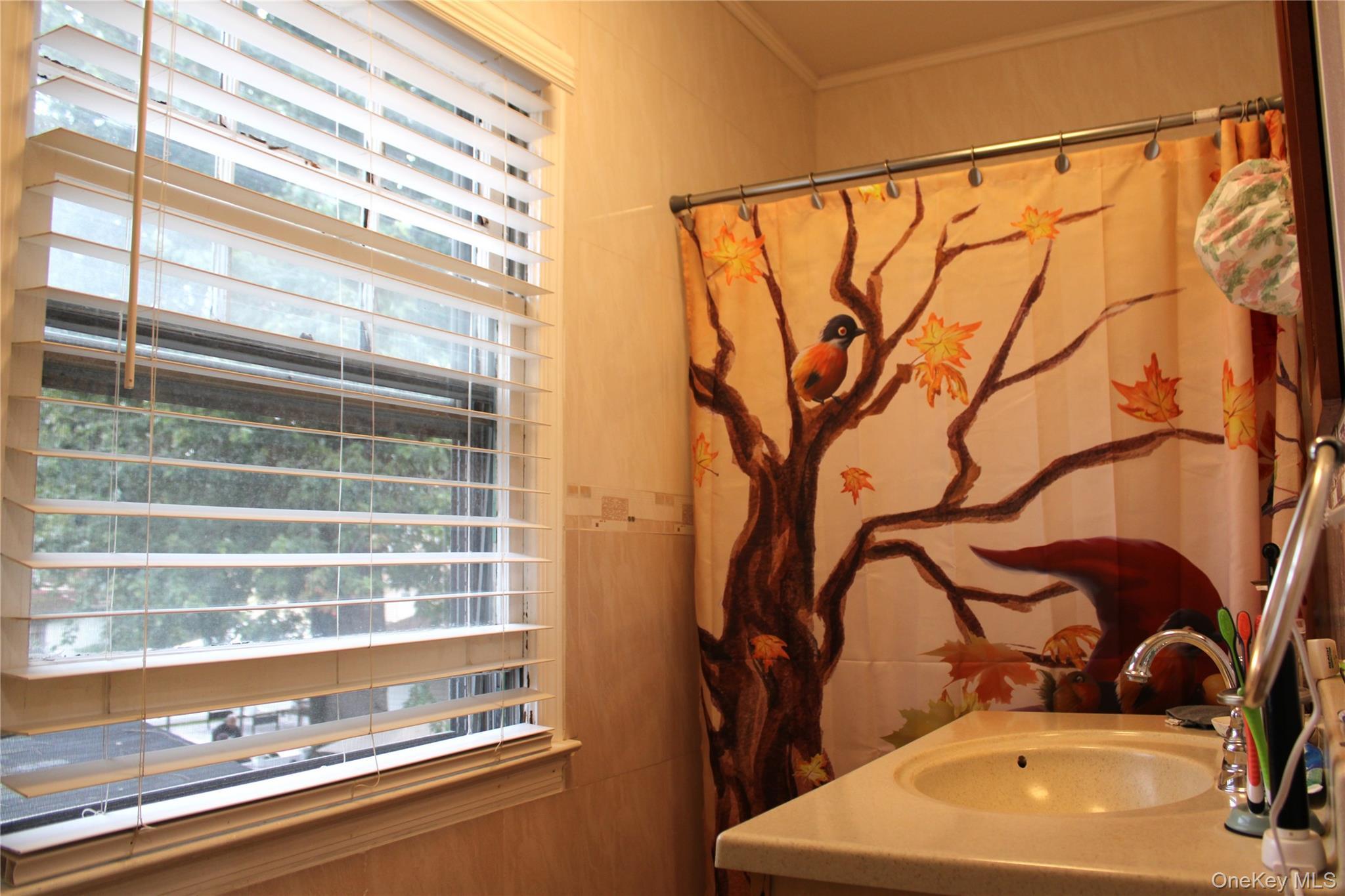Single Family 104th Avenue Queens, NY 11412, MLS-1051659-37