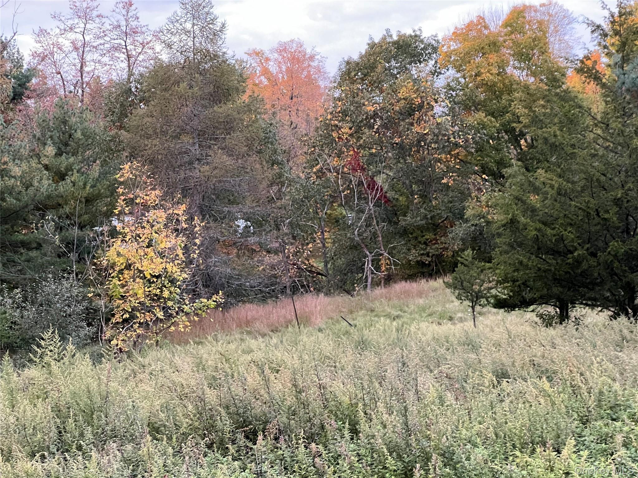 Single Family County Route 27  Columbia County, NY 12521, MLS-1051673-11