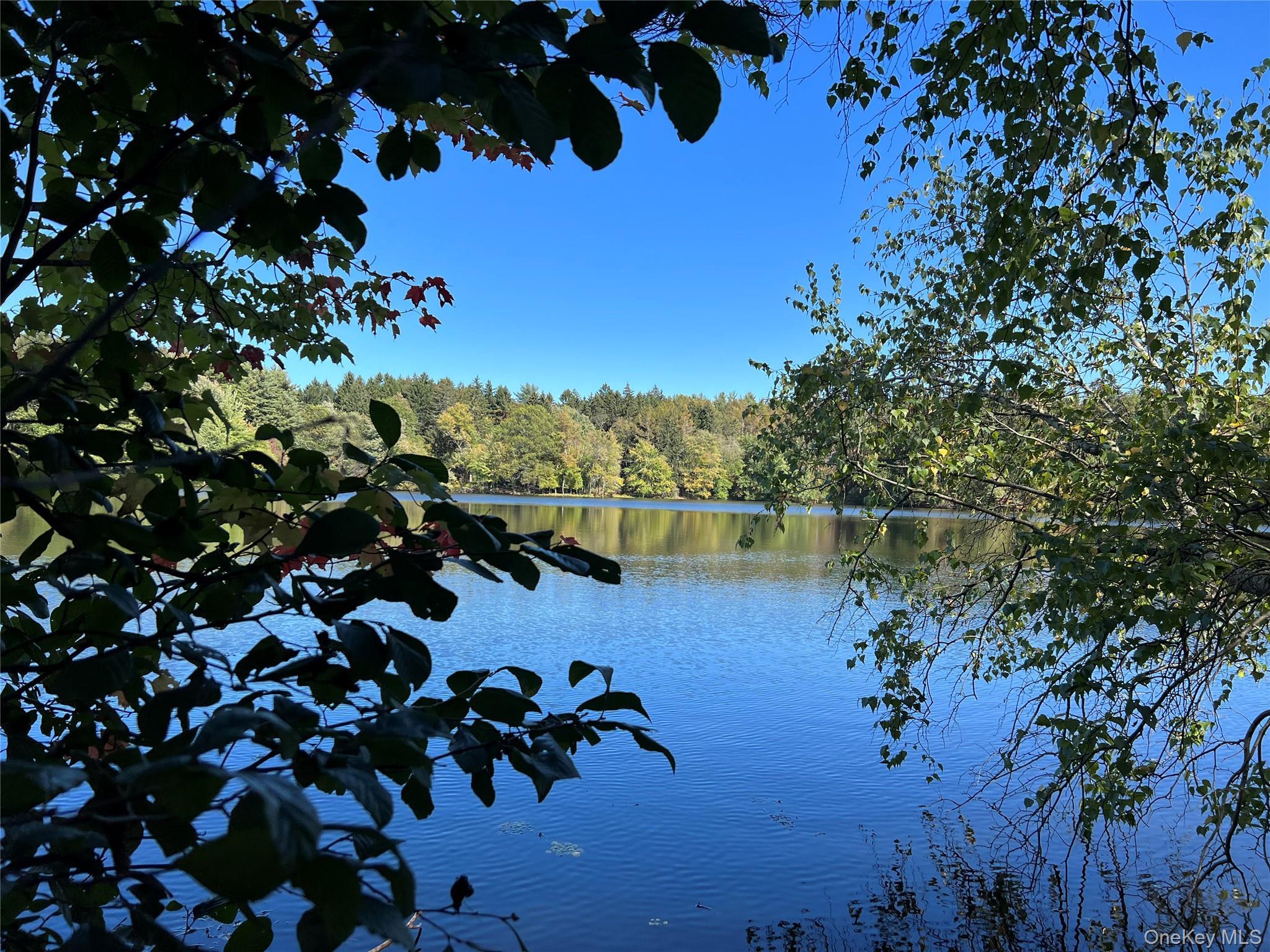 Single Family County Route 27  Columbia County, NY 12521, MLS-1051673-12