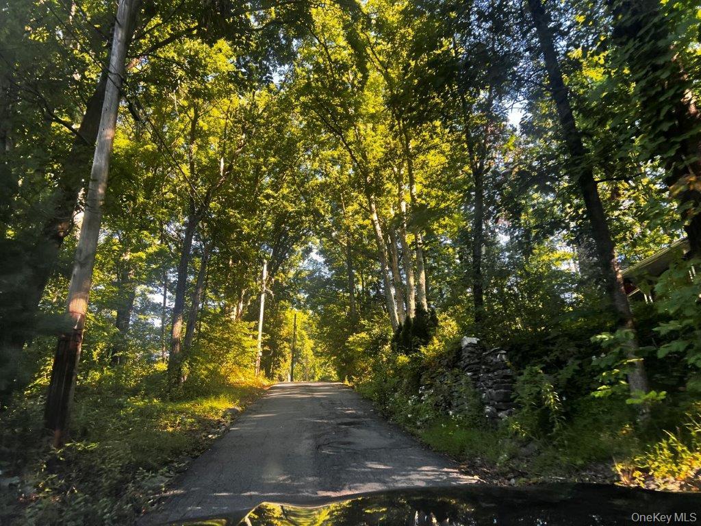 Single Family Hammerhead Trail Sullivan County, NY 12790, MLS-1051691-2