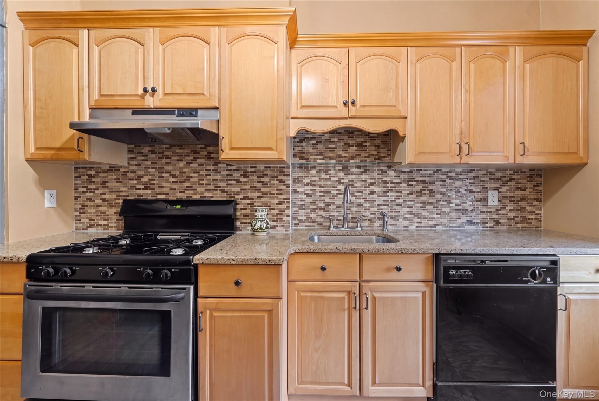 Single Family 68th Street  Queens, NY 11385, MLS-1051724-11