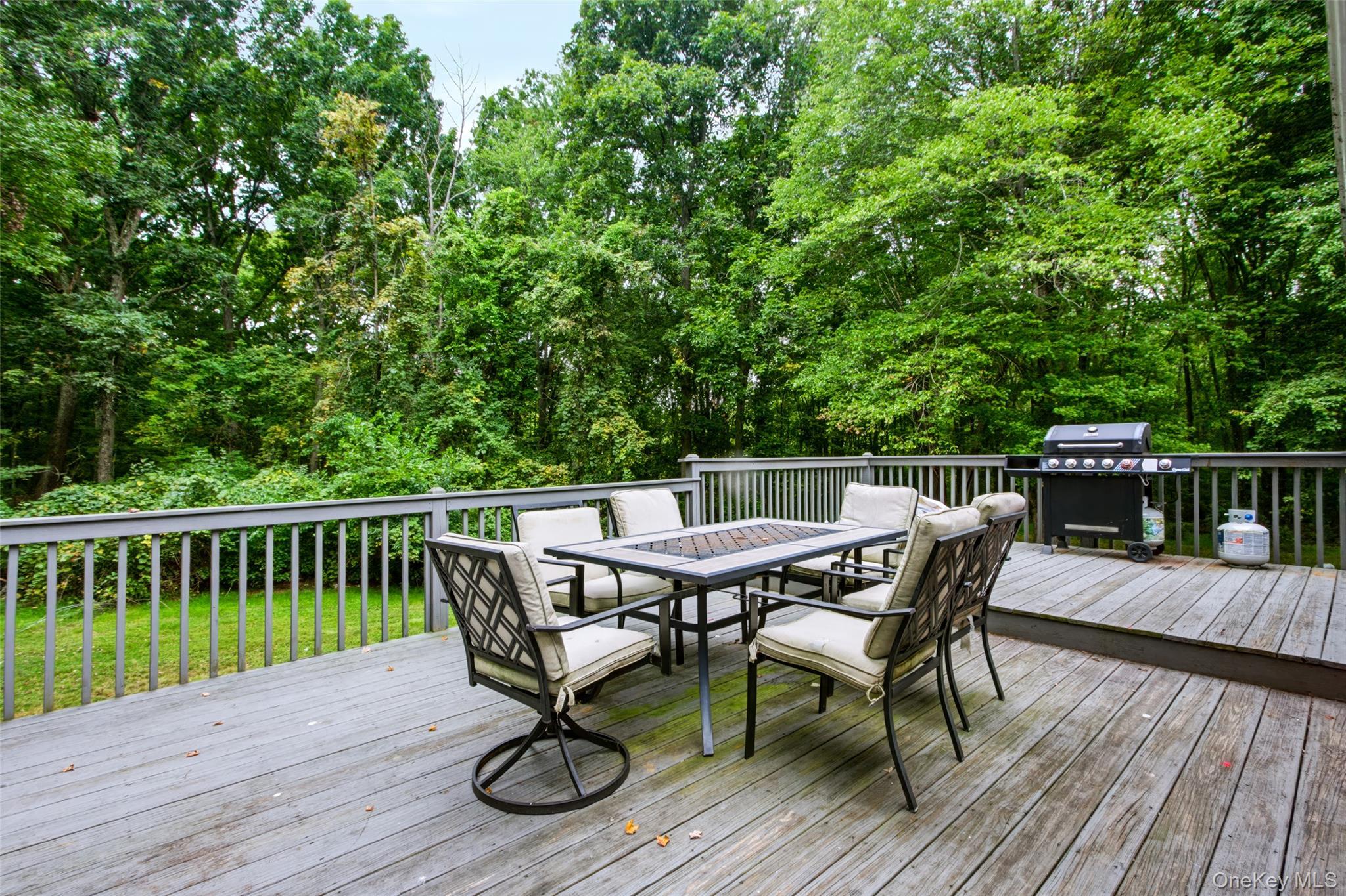 Single Family County Route 1 Orange County, NY 12771, MLS-1051746-36