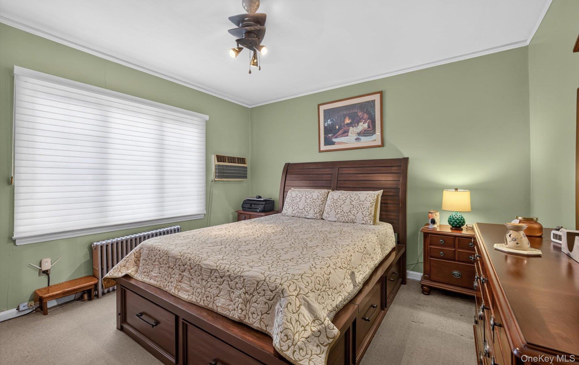 Single Family 238th Street Nassau County, NY 11003, MLS-1051771-17