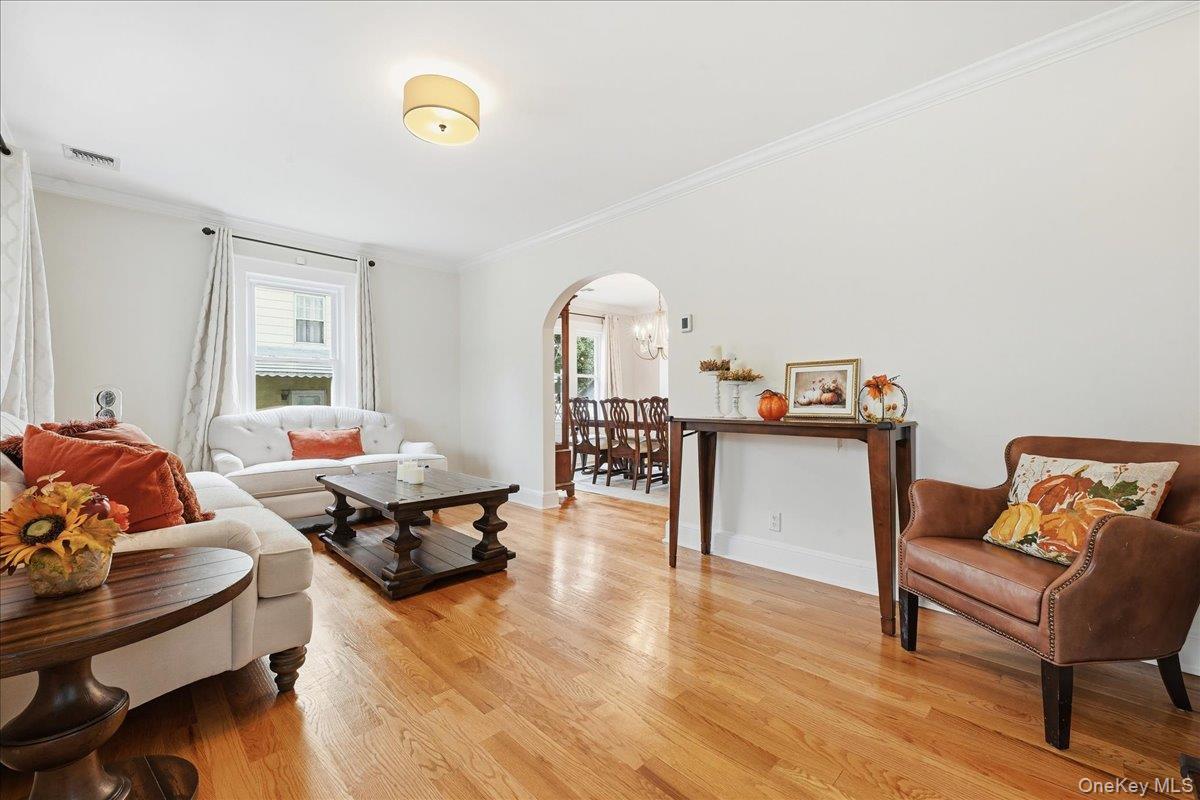 Single Family Hicks Street Nassau County, NY 11710, MLS-1051799-11
