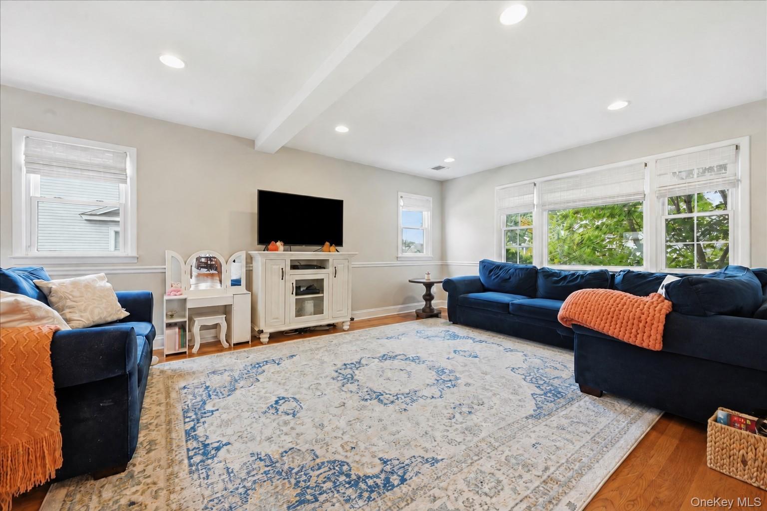 Single Family Hicks Street Nassau County, NY 11710, MLS-1051799-22
