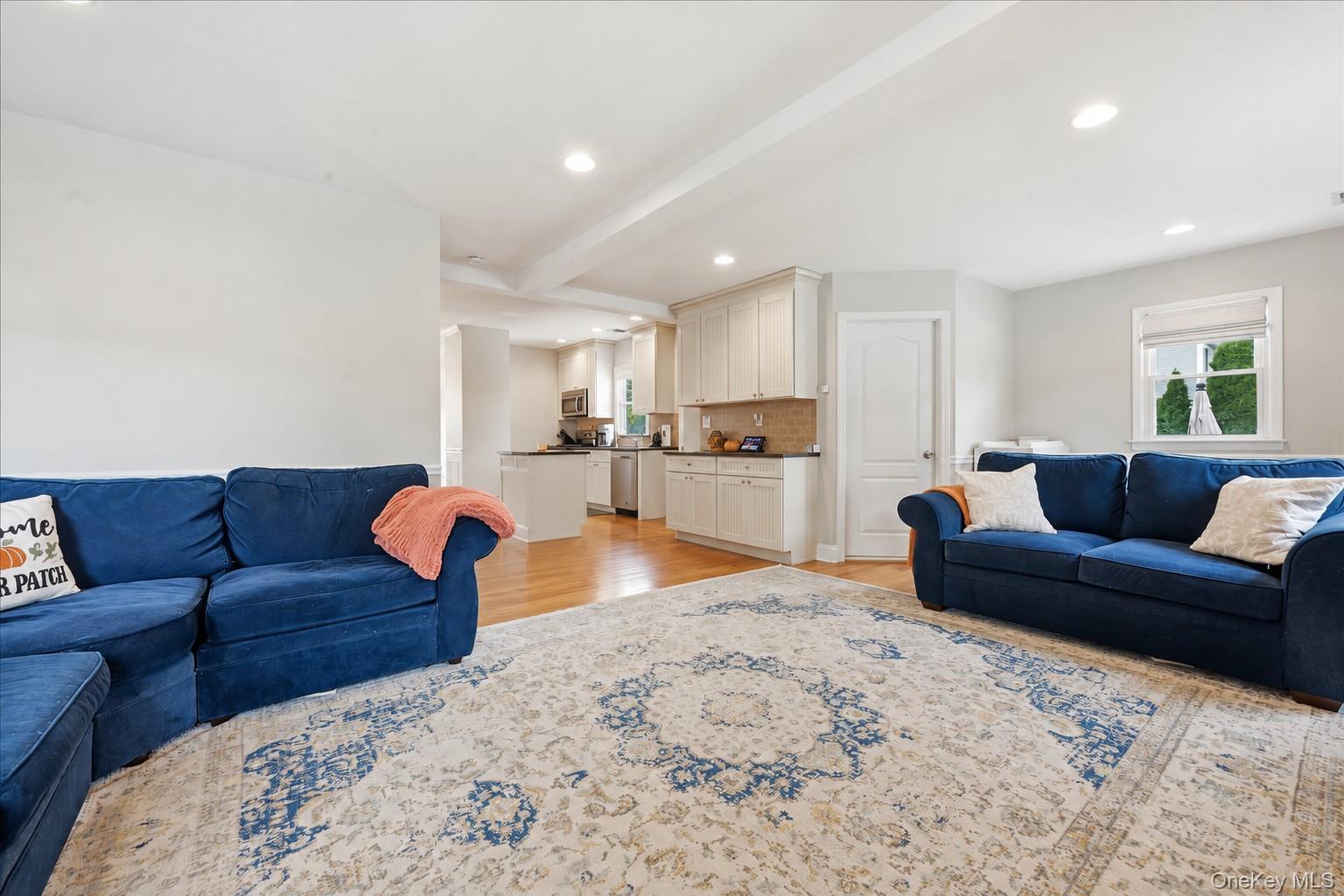 Single Family Hicks Street Nassau County, NY 11710, MLS-1051799-24