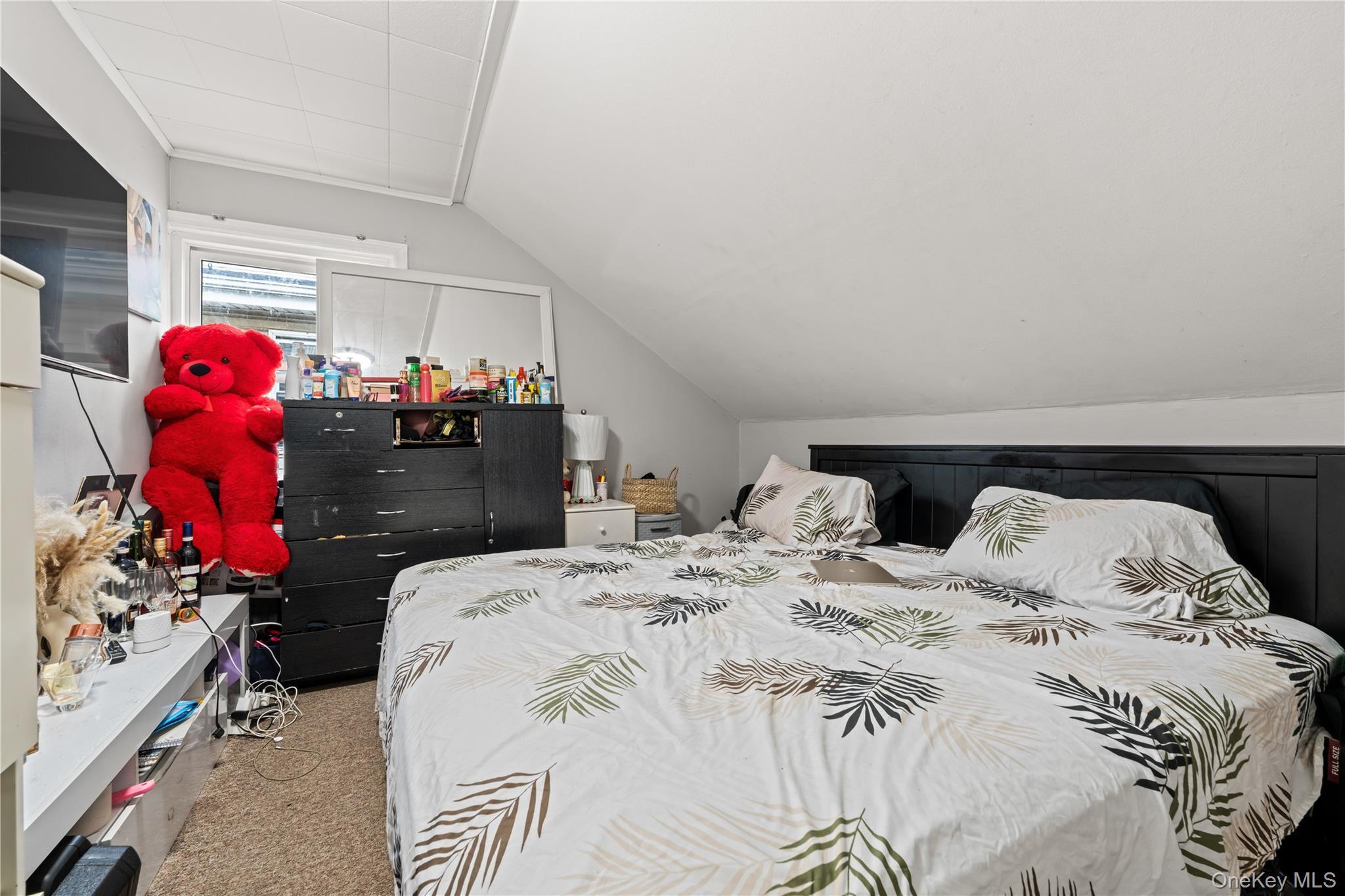 Single Family 147th Road Queens, NY 11422, MLS-1051807-12