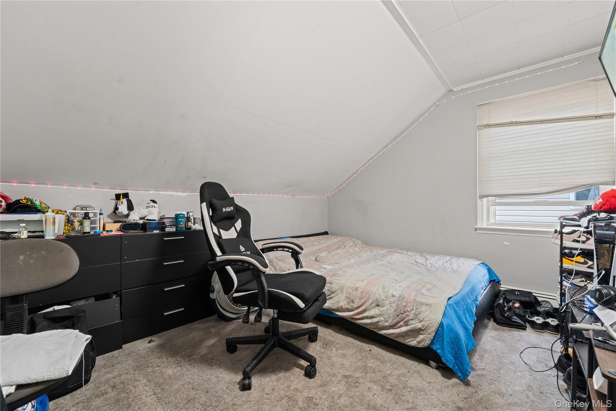 Single Family 147th Road Queens, NY 11422, MLS-1051807-13