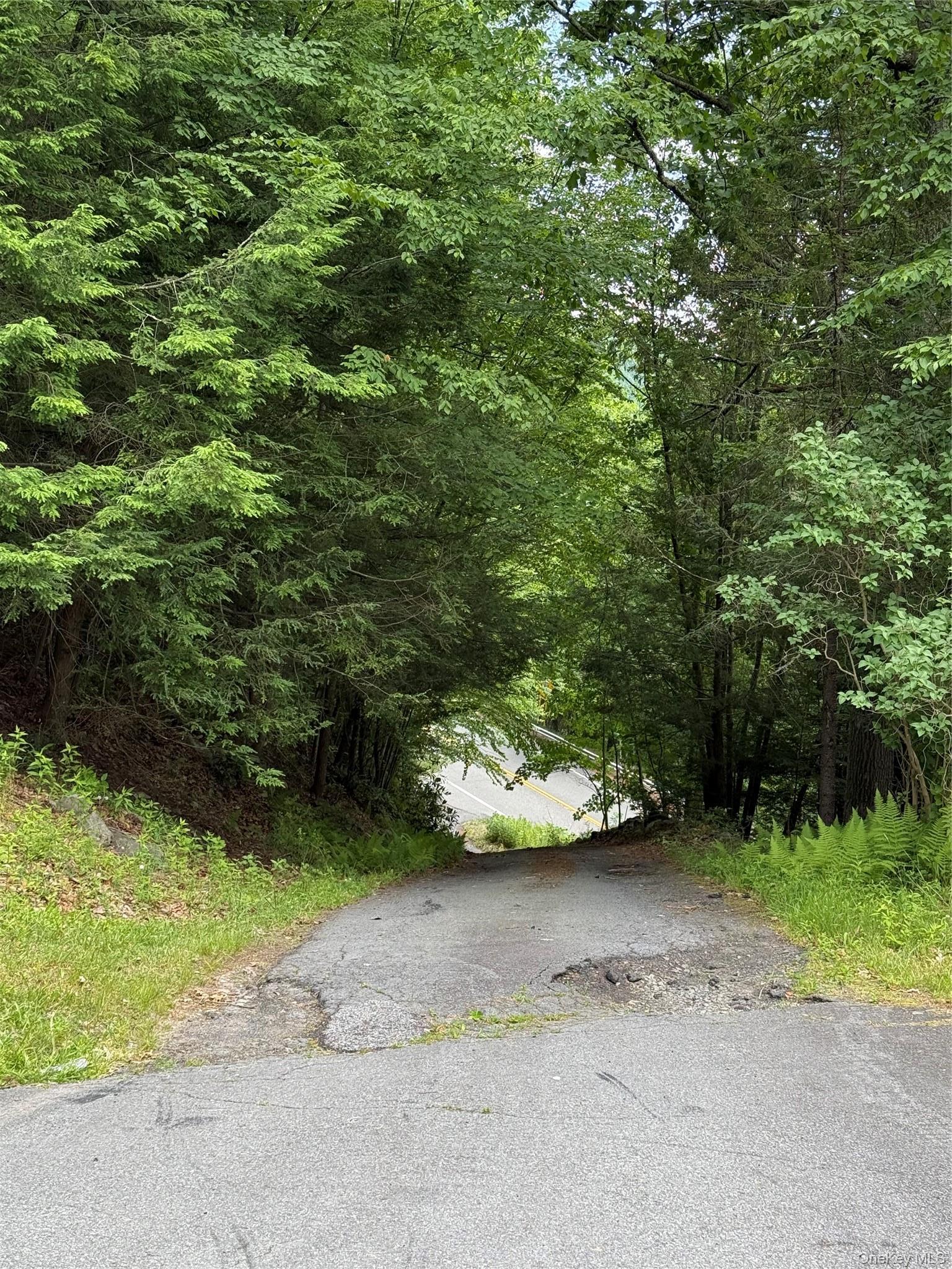 Single Family State Highway 97 Orange County, NY 12780, MLS-1051893-10
