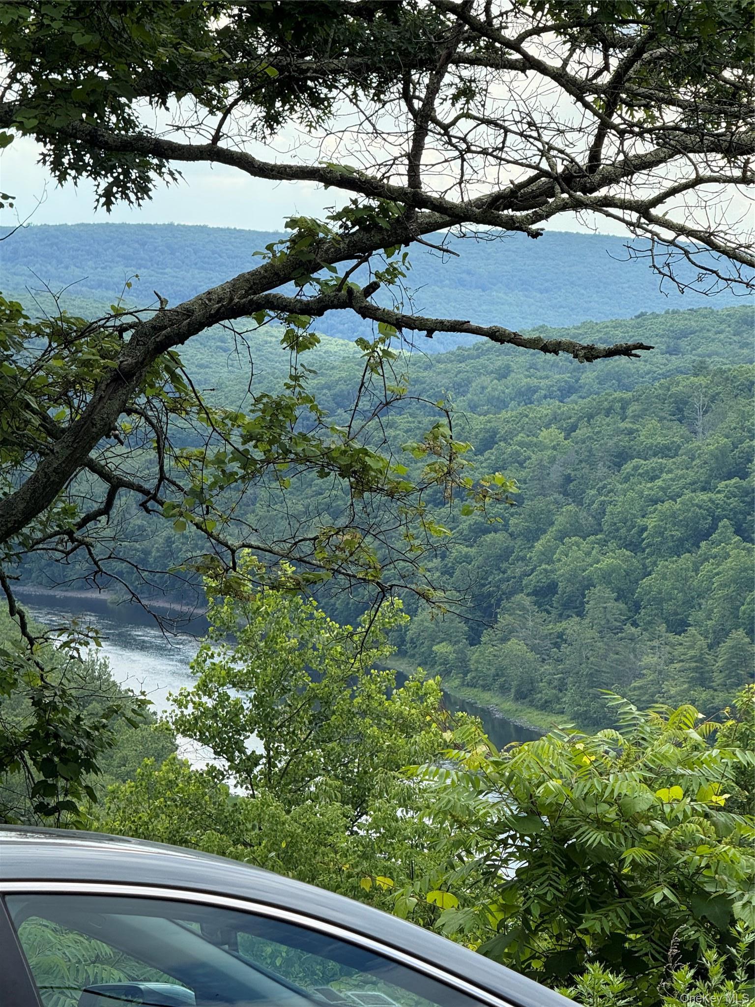 Single Family State Highway 97 Orange County, NY 12780, MLS-1051893-6