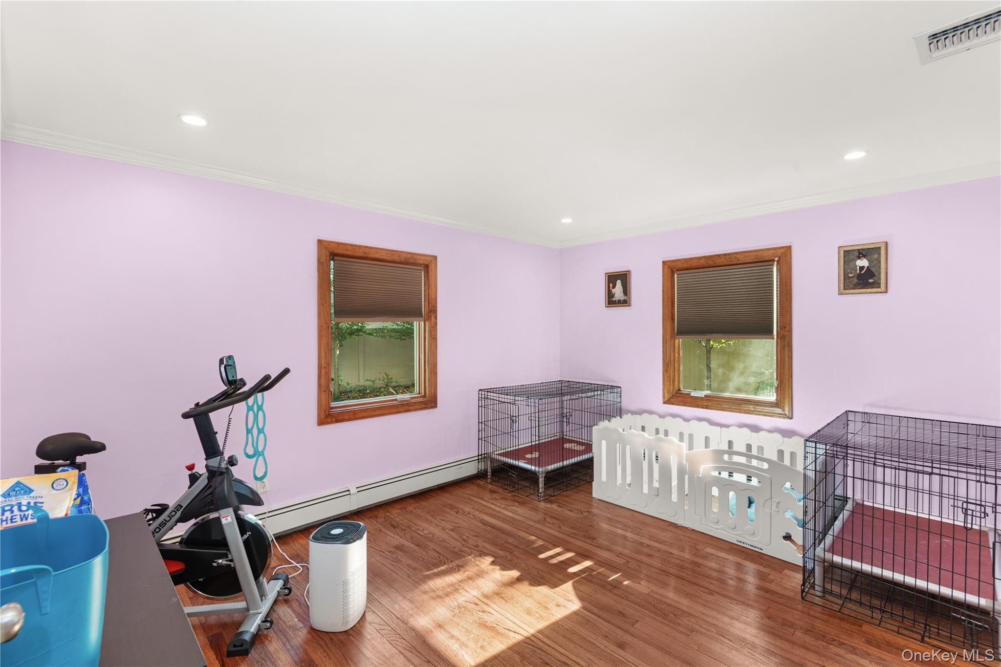 Single Family Hiawatha Drive Suffolk County, NY 11718, MLS-1051913-11