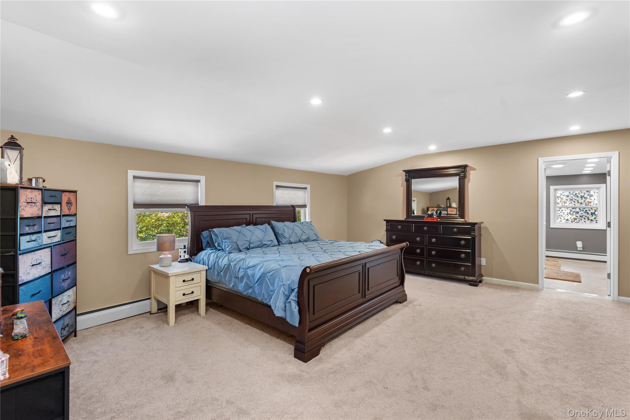 Single Family Hiawatha Drive Suffolk County, NY 11718, MLS-1051913-13