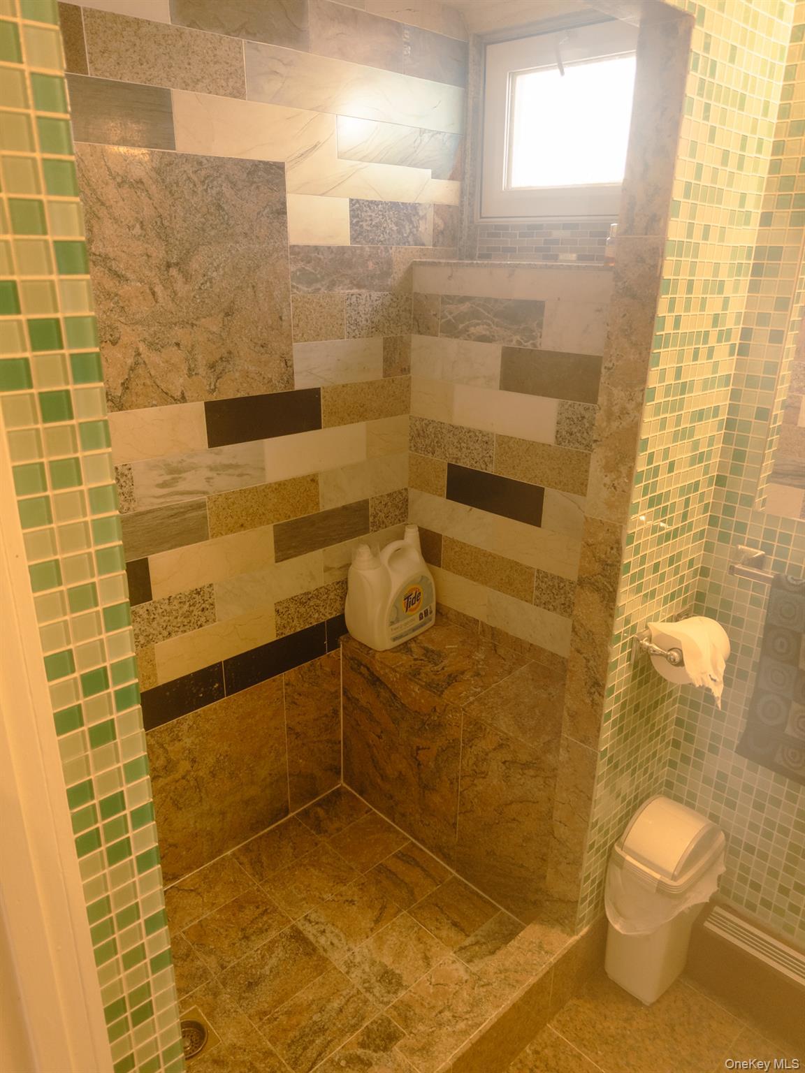 Single Family 6th Avenue  Queens, NY 11356, MLS-1051928-19